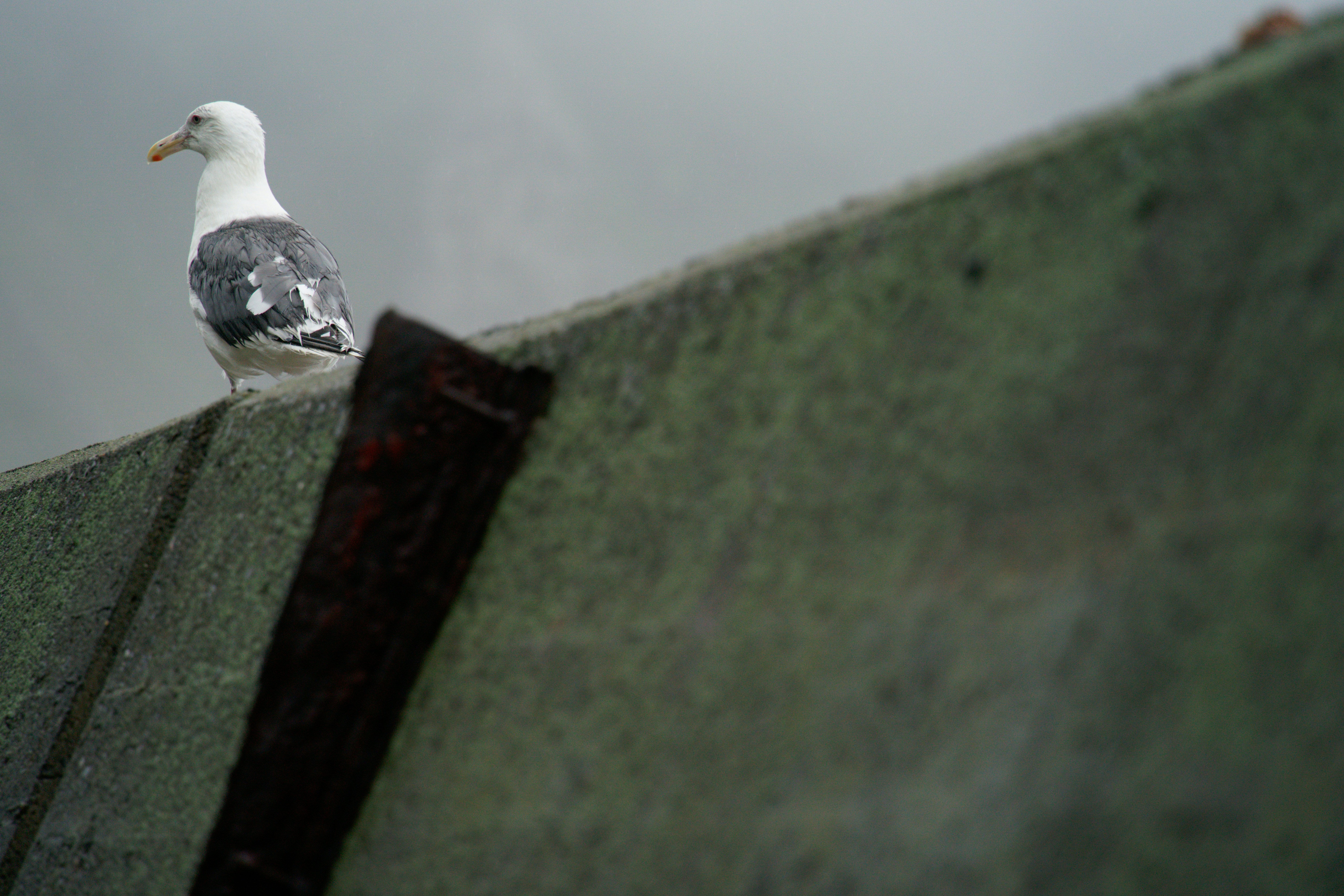 Photo by da_shika_photo