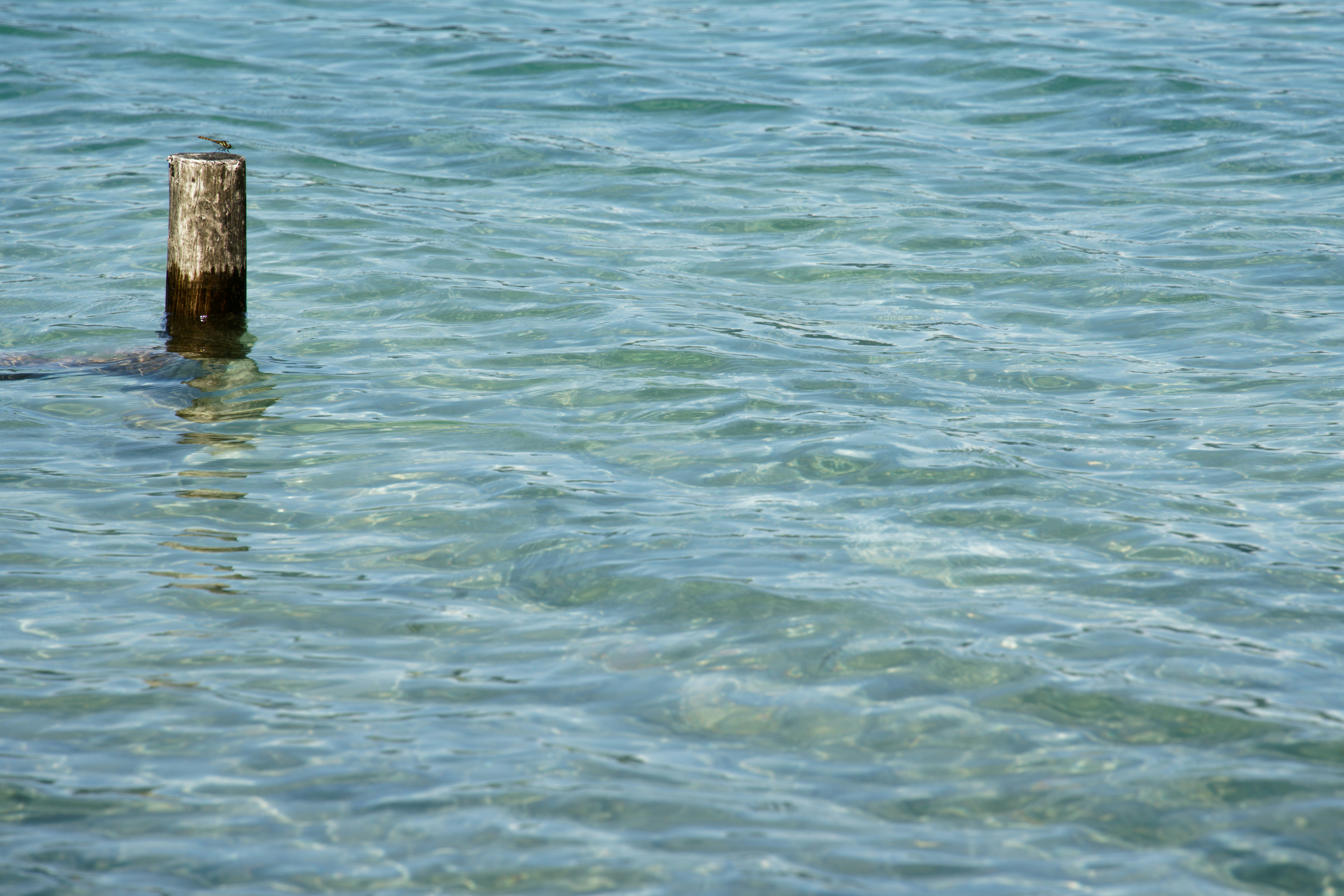 Photo by da_shika_photo