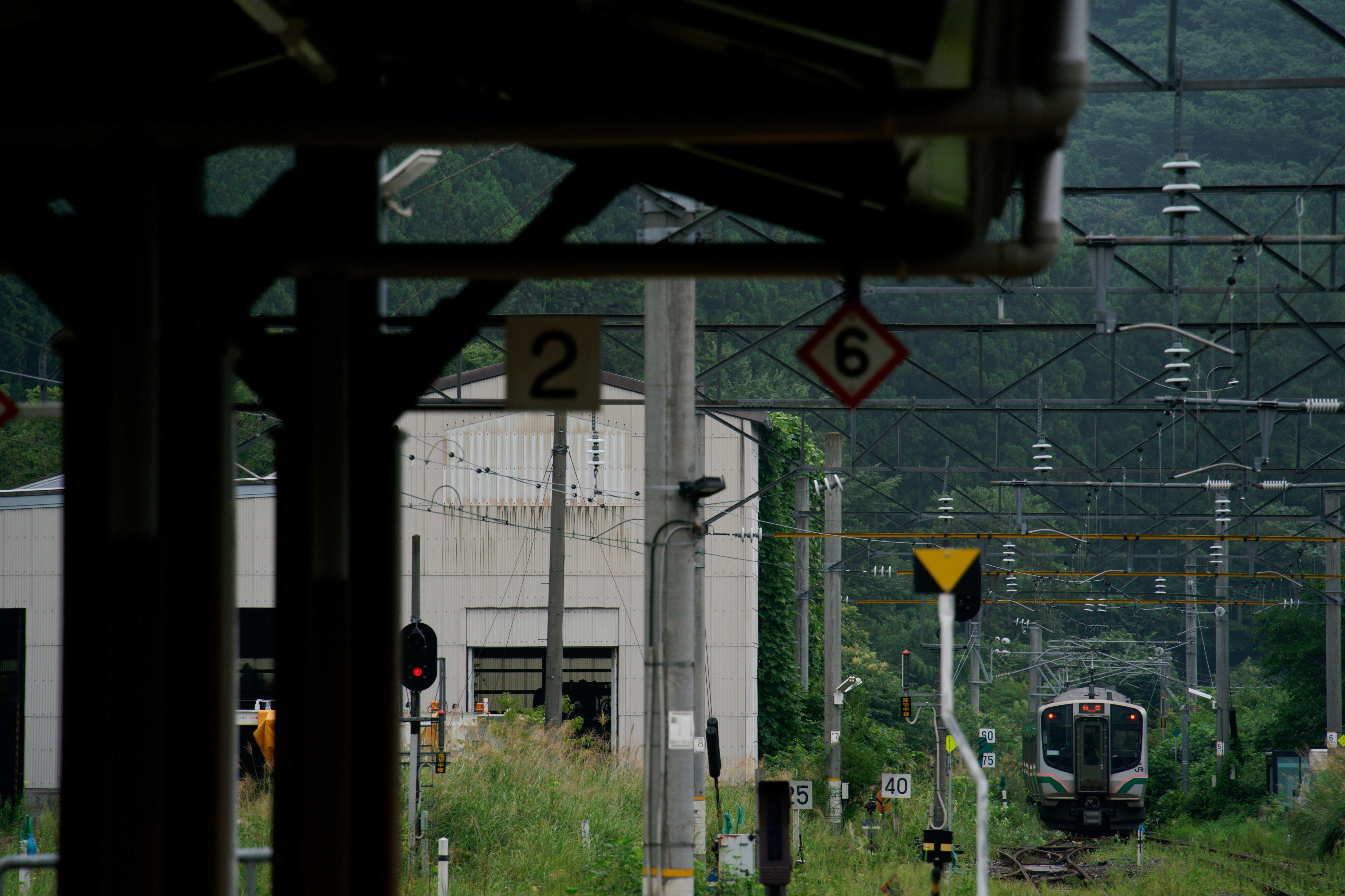 Photo by da_shika_photo