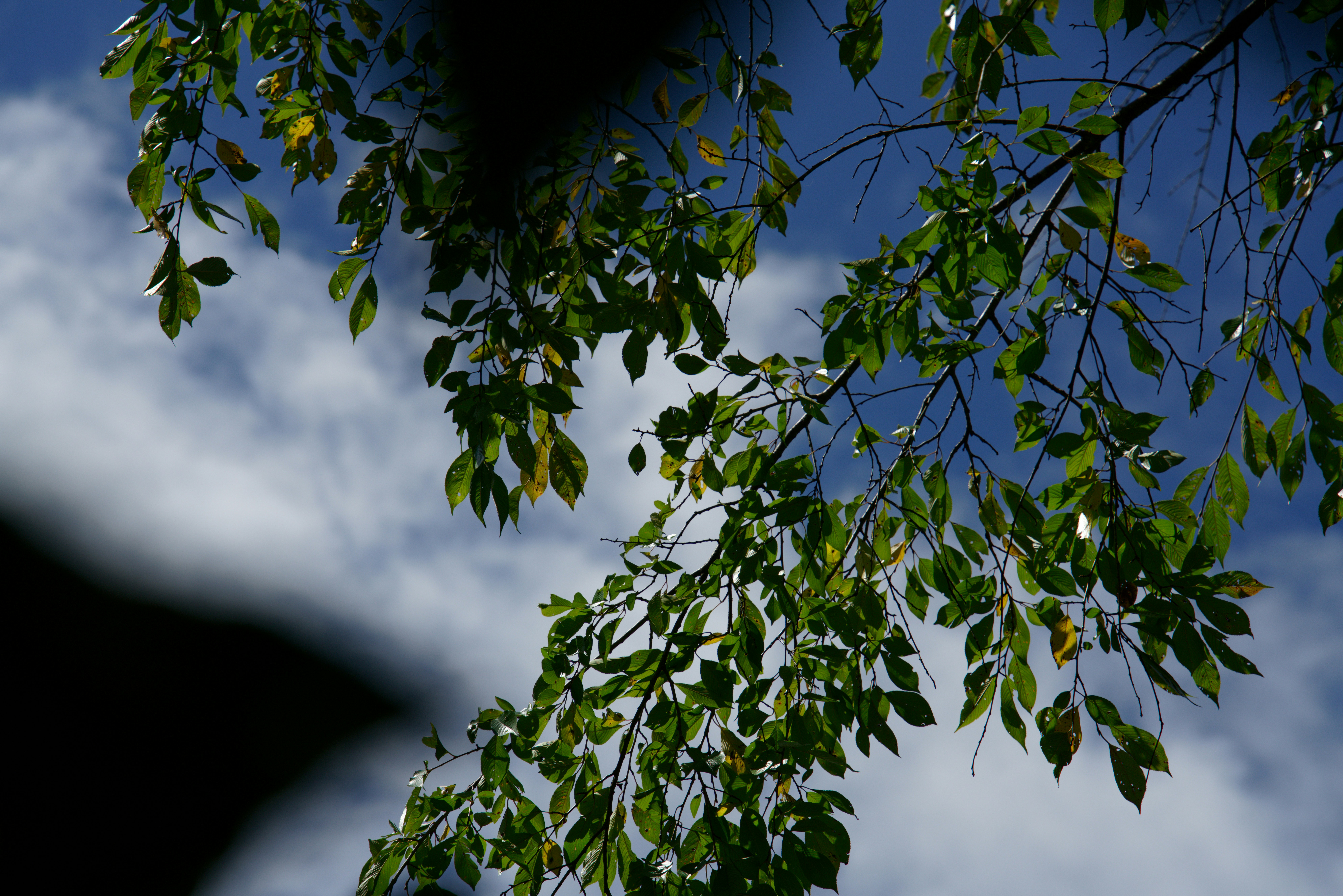 Photo by da_shika_photo