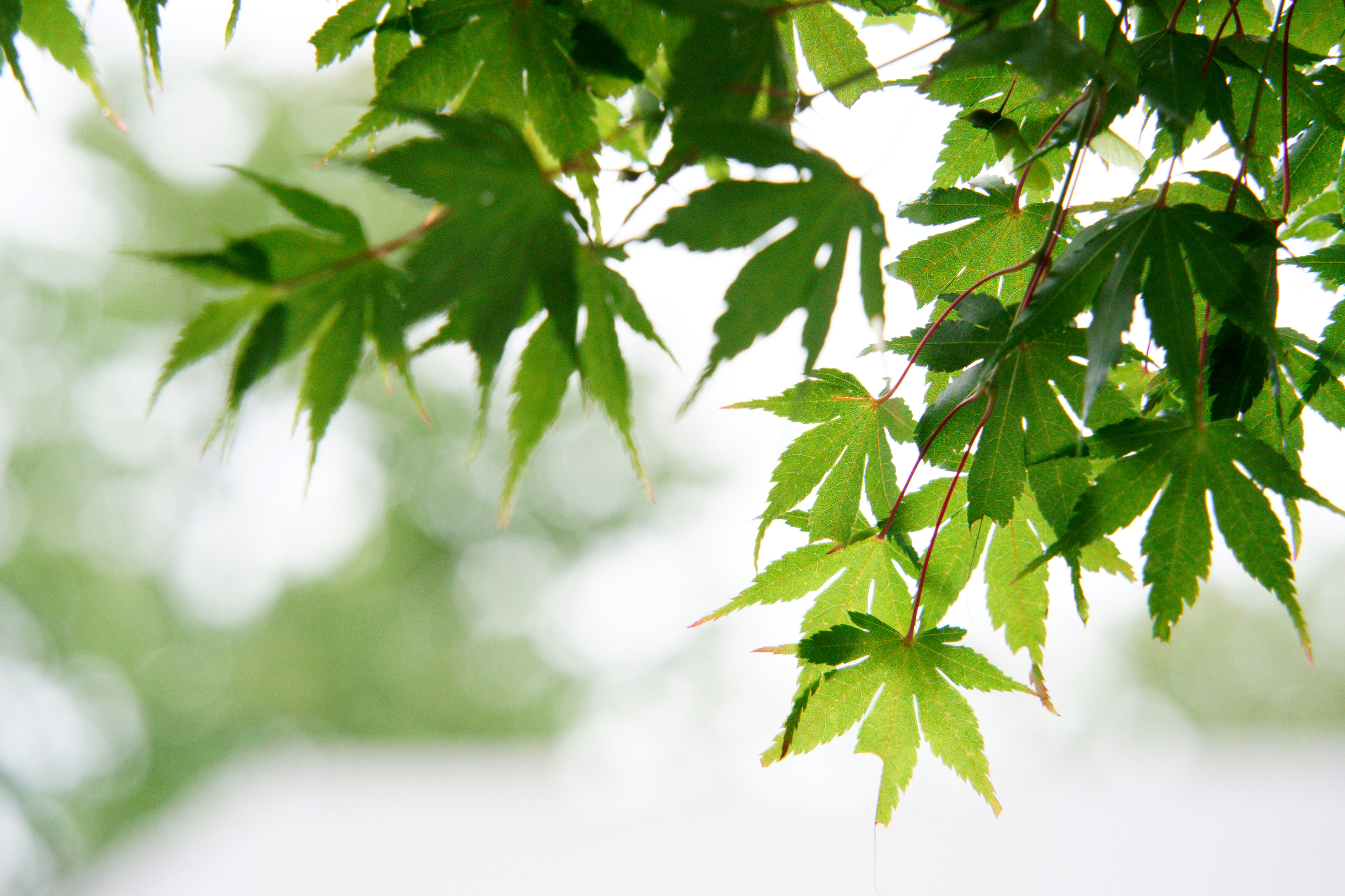 Photo by da_shika_photo