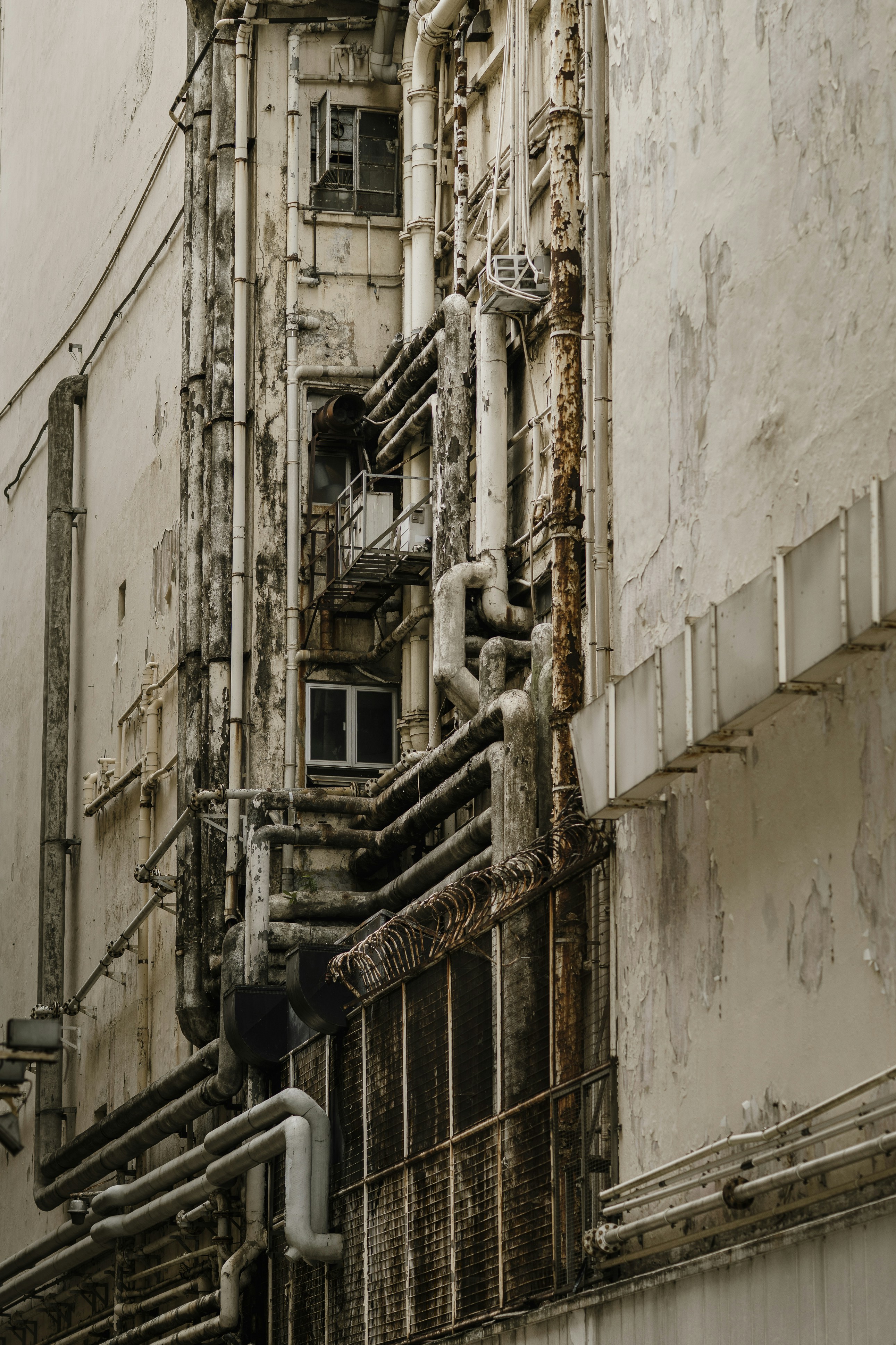 Photo by nerissa_j_photography