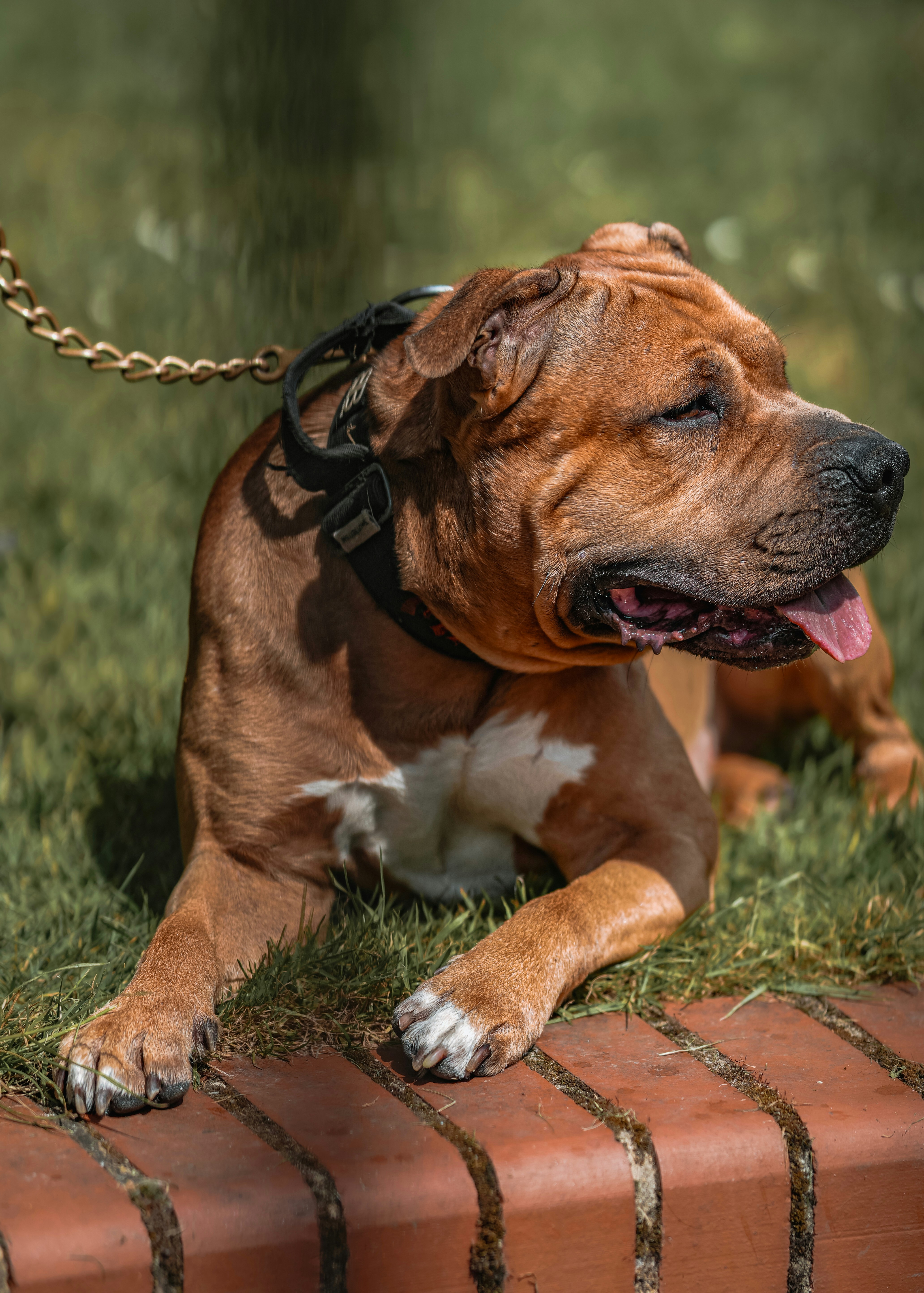 Photo by max_mcgrath