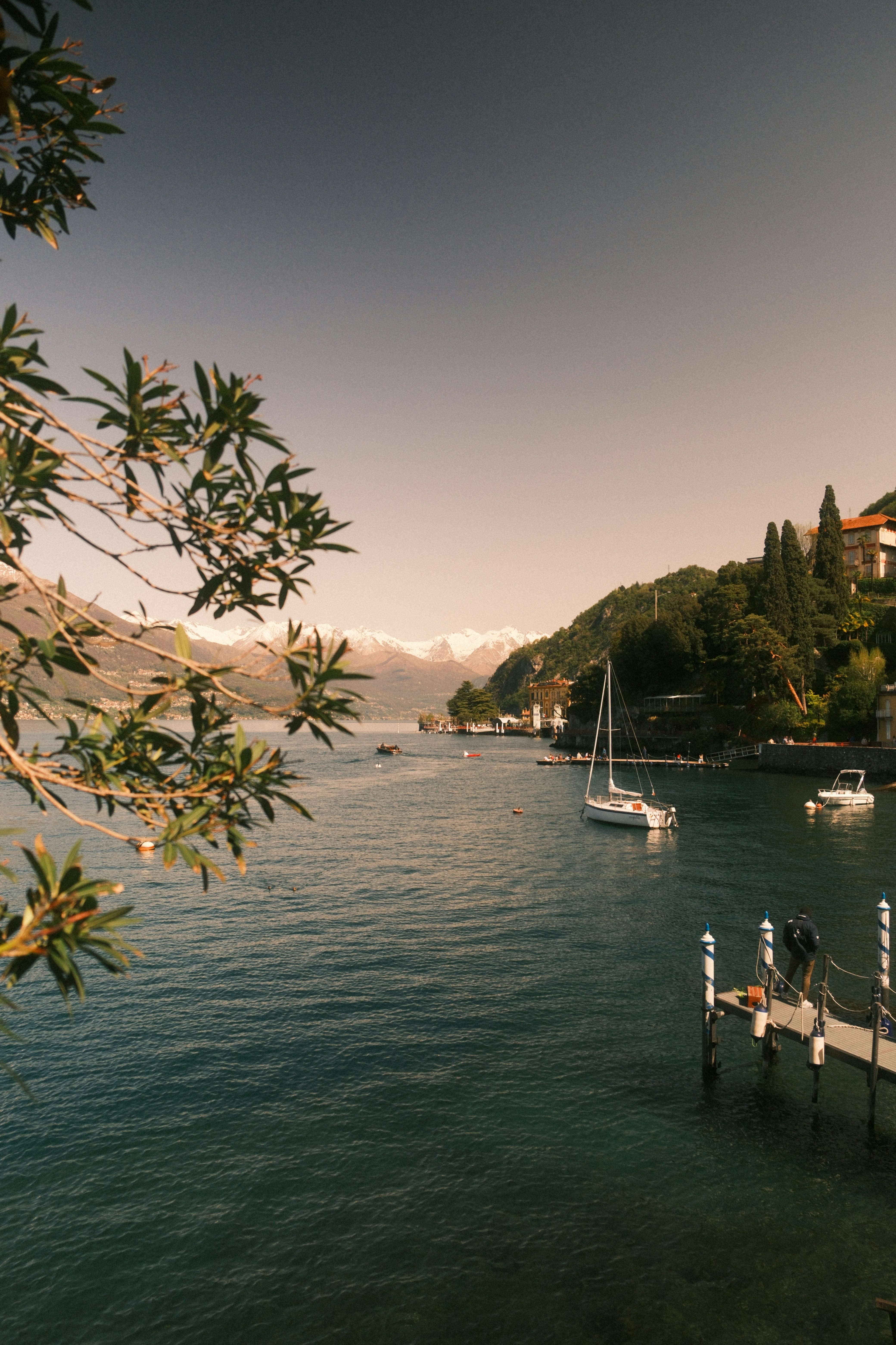 Photo by tufisalexandru