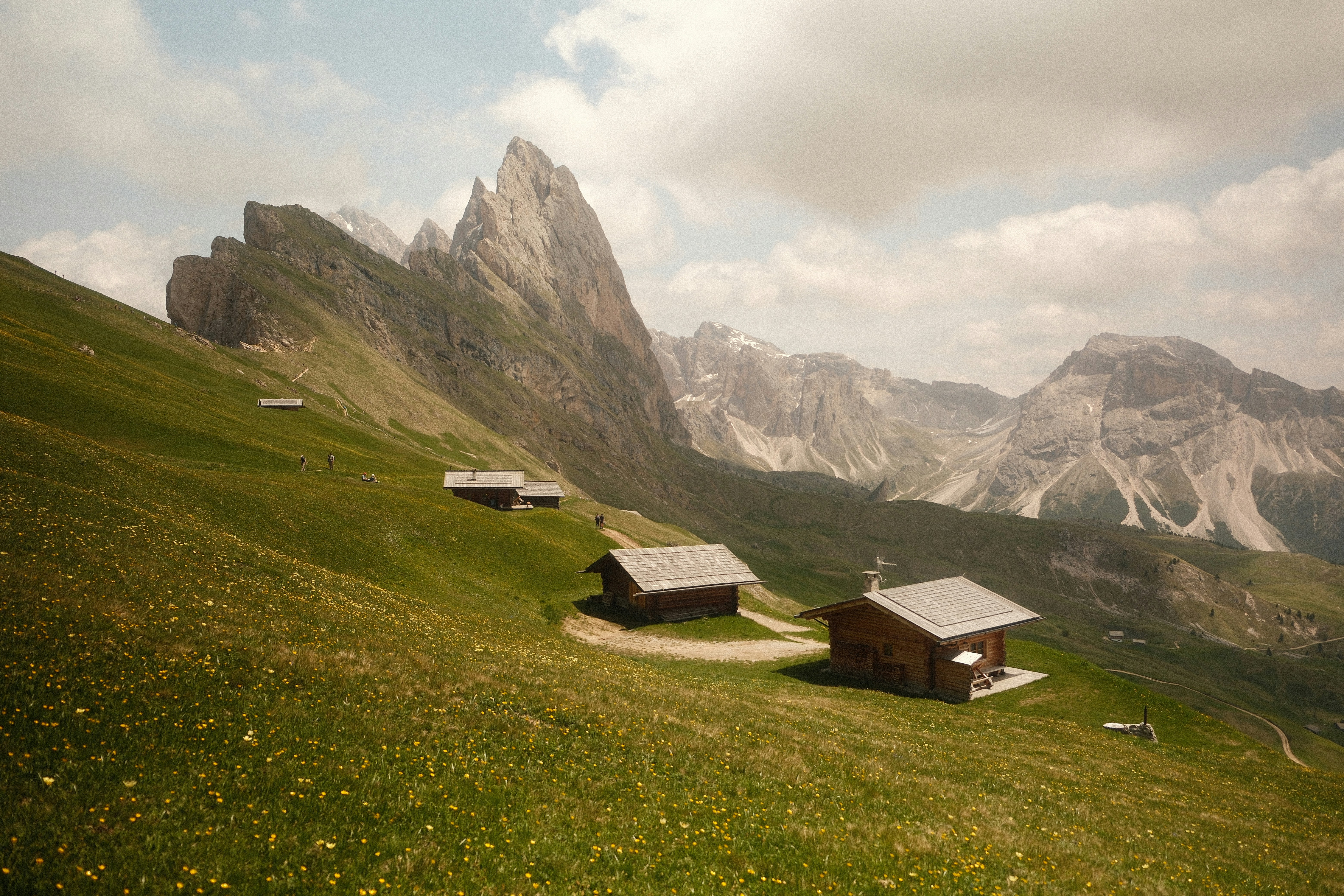 Photo by tufisalexandru