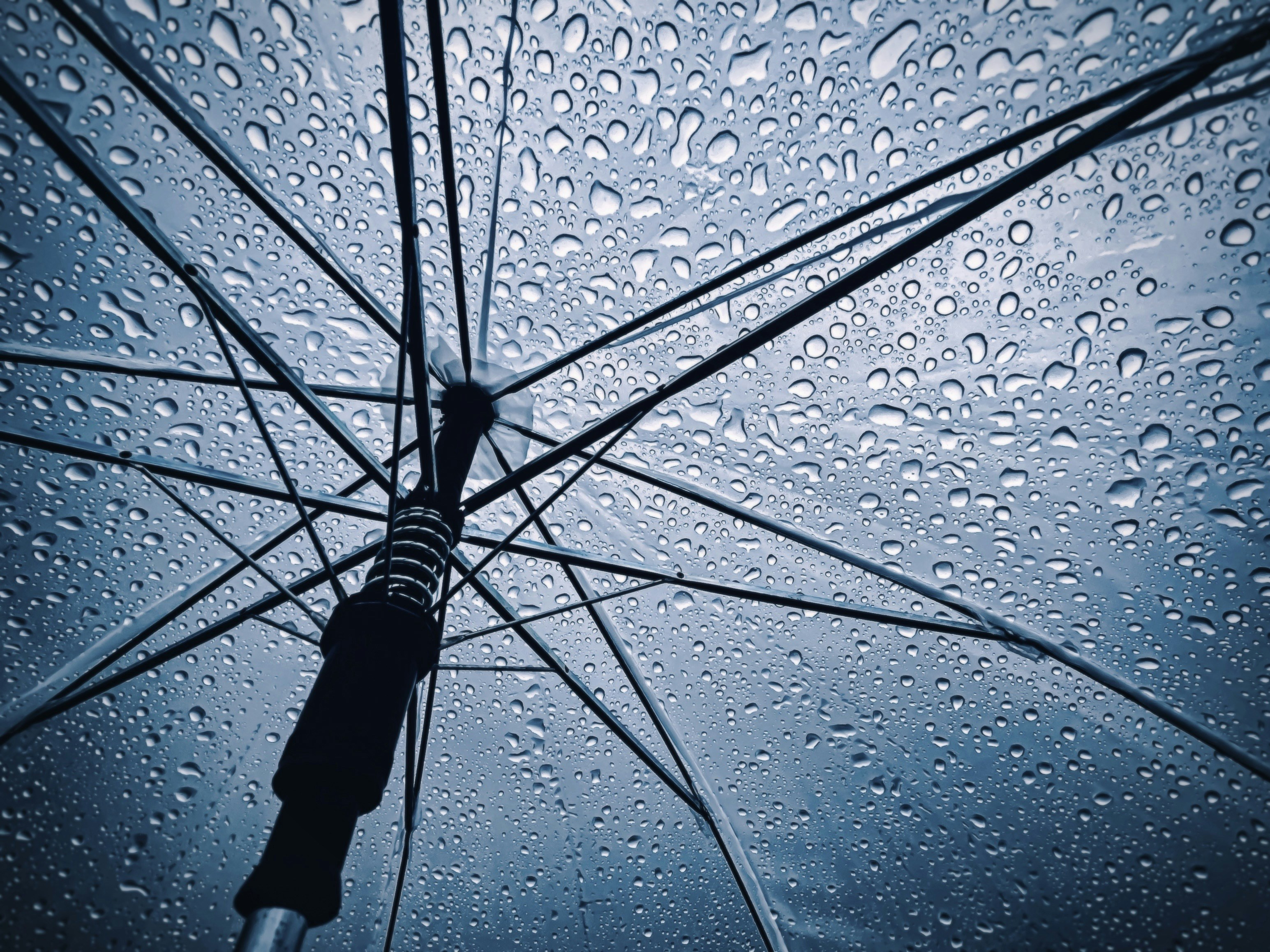 Raindrops cover a transparent umbrella from below.
