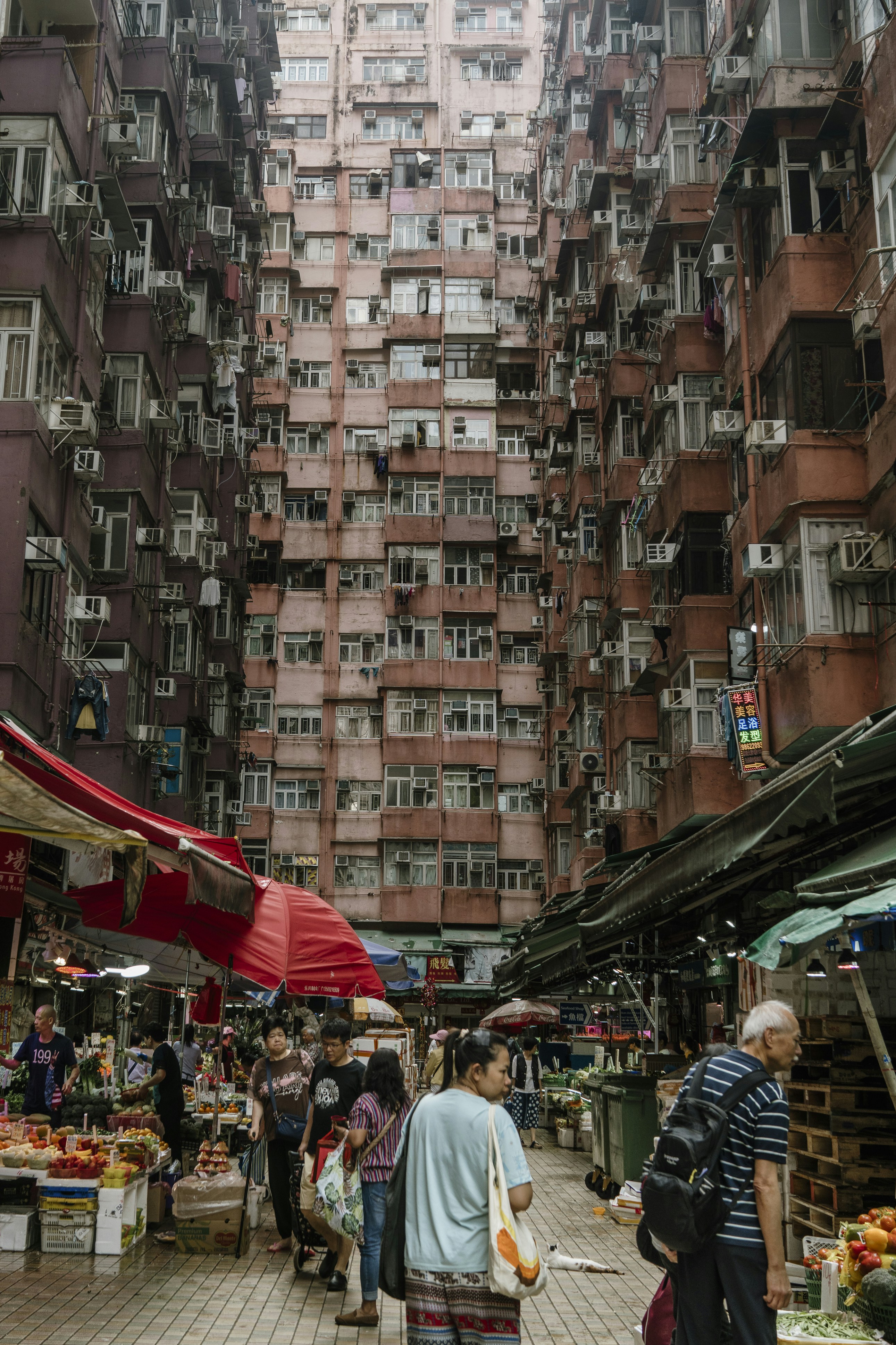 Photo by nerissa_j_photography