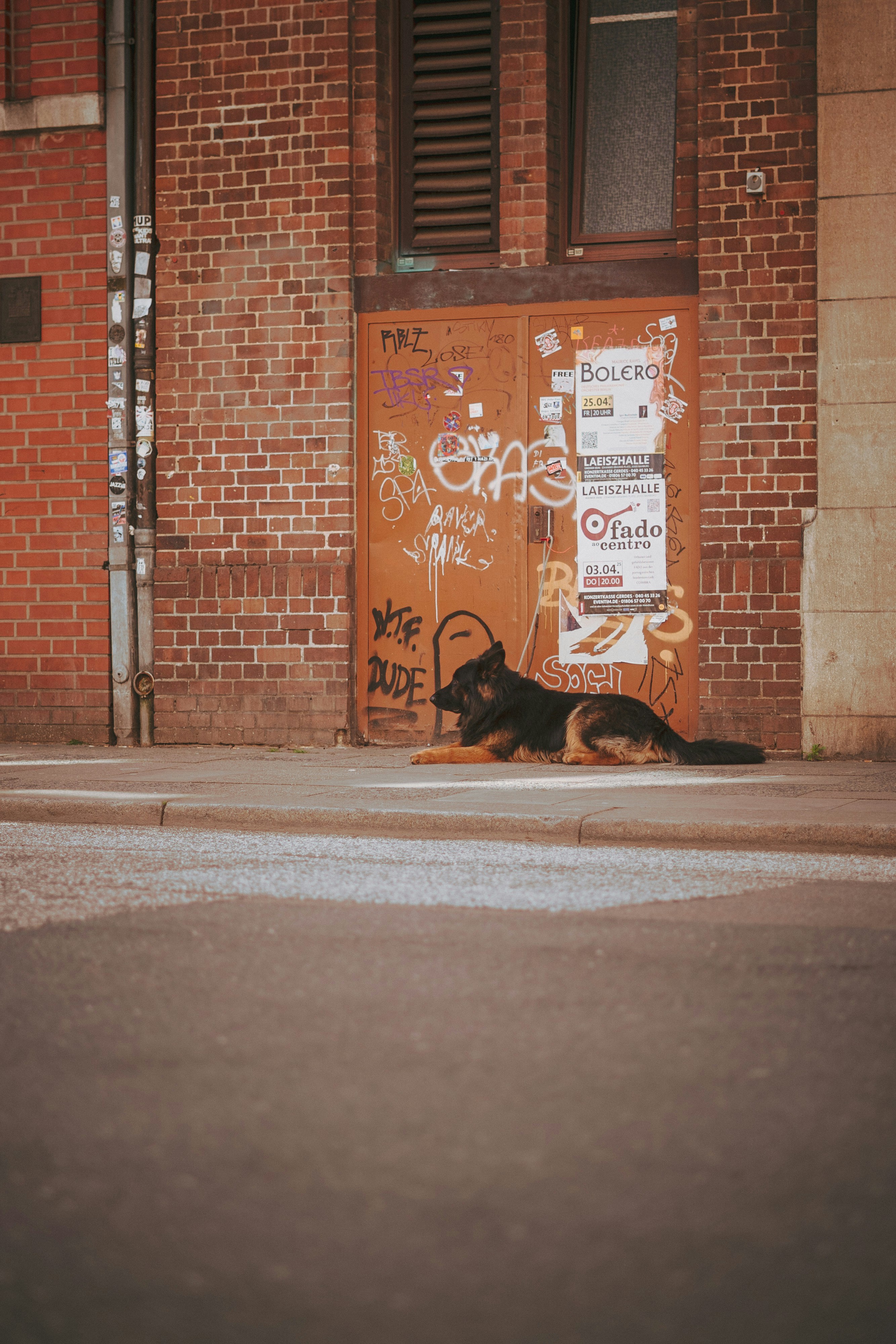 Photo by robert_lens