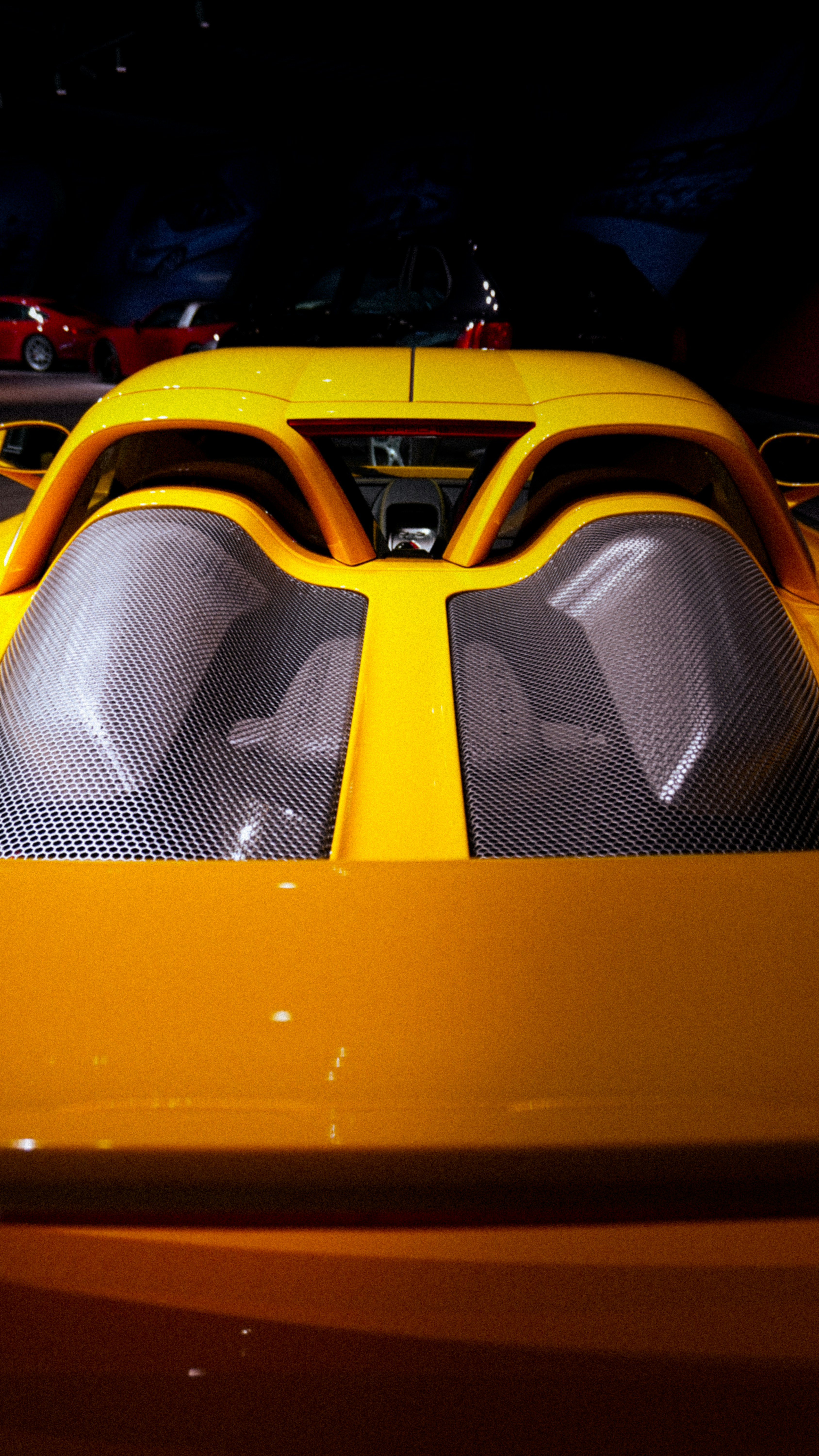 Photo by neuweltphotography