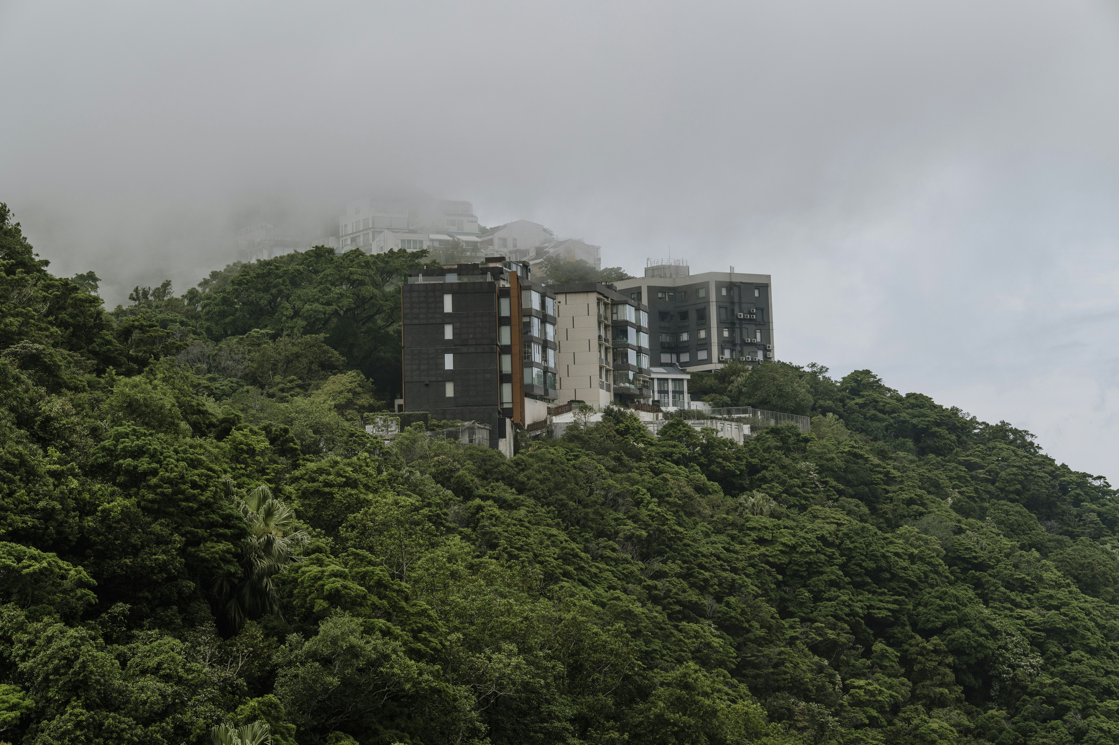 Photo by nerissa_j_photography