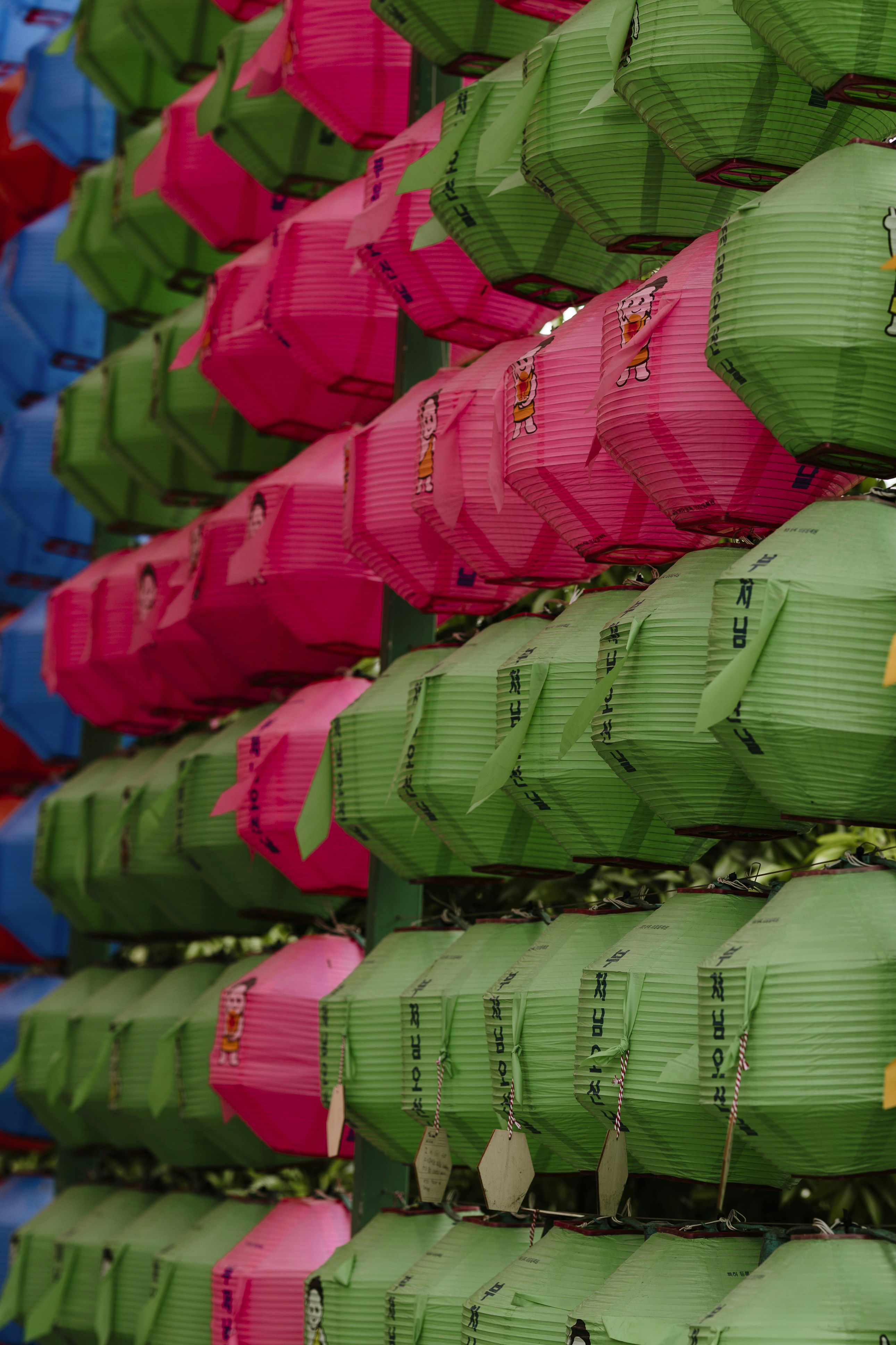 Photo by nerissa_j_photography