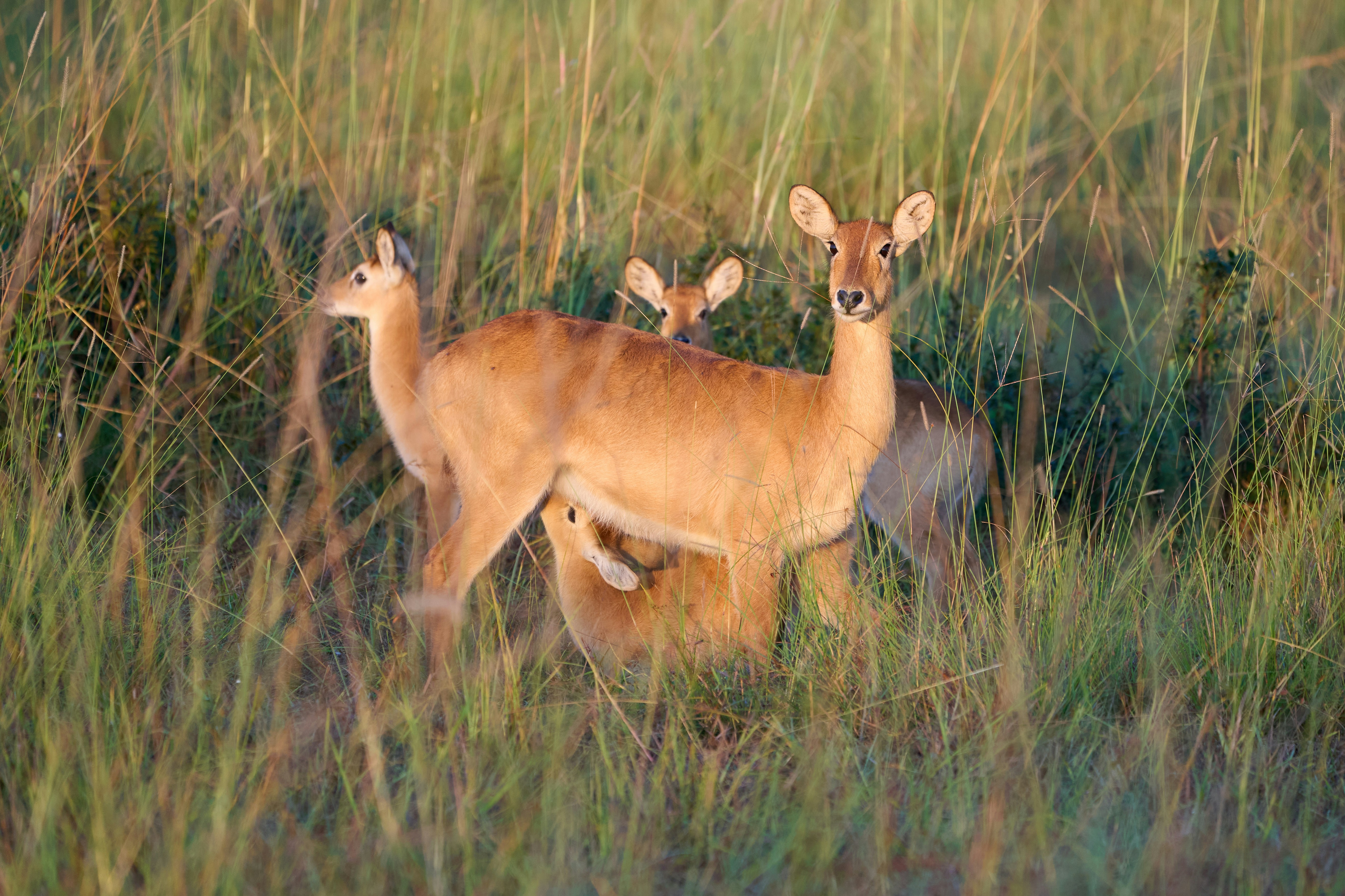 Photo by dmitrii_zhodzishskii