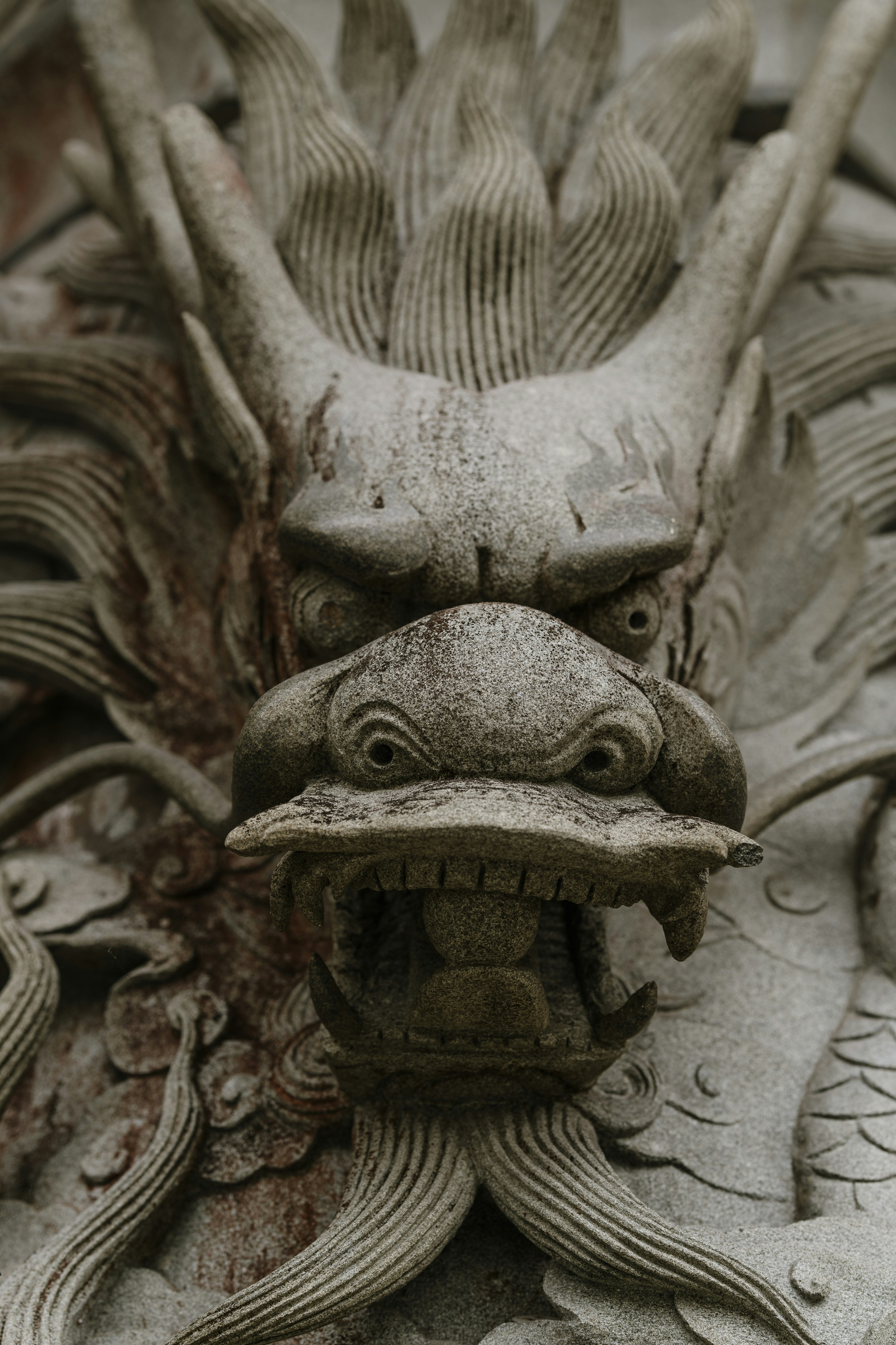 Photo by nerissa_j_photography