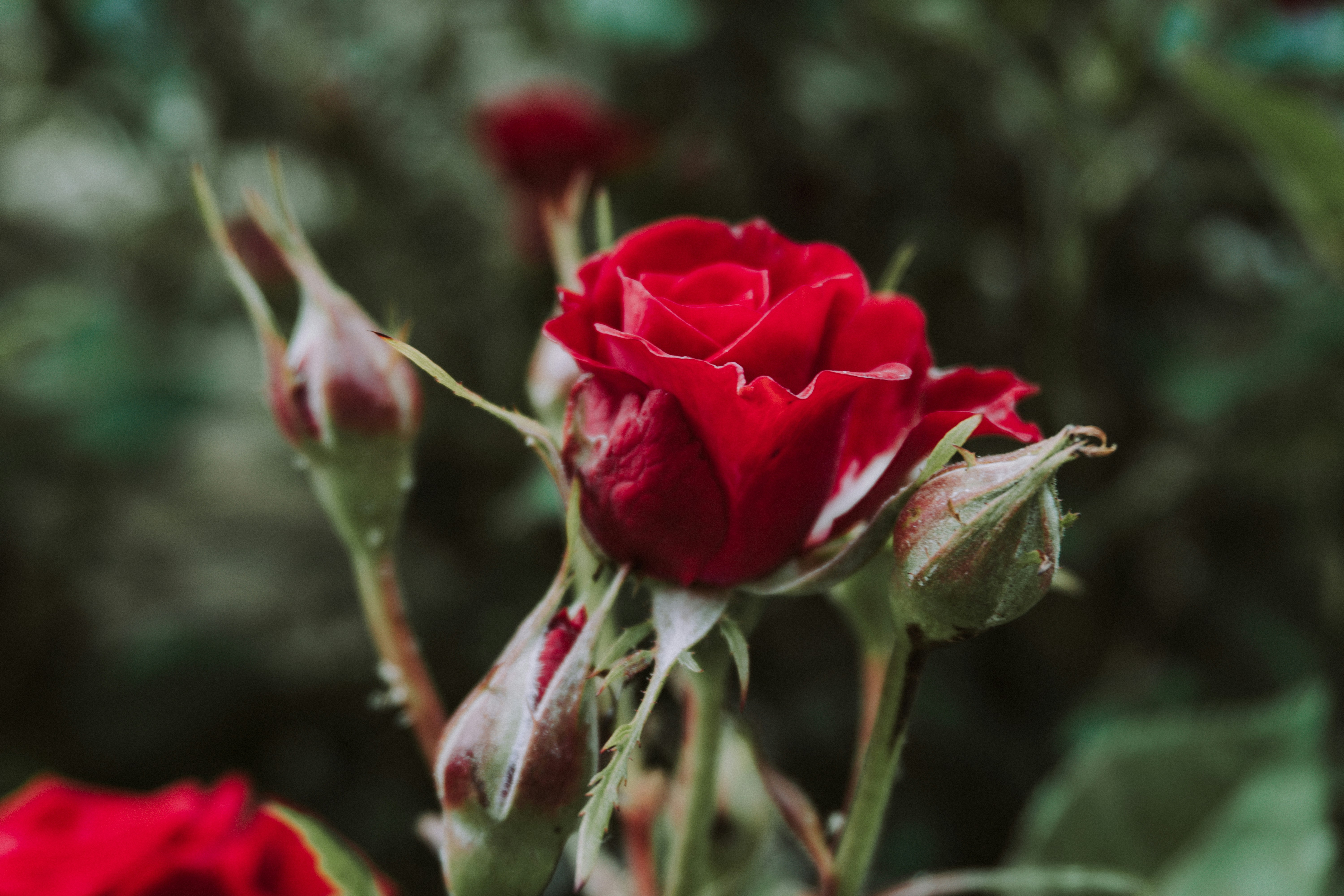 Photo by zulfugarkarimov