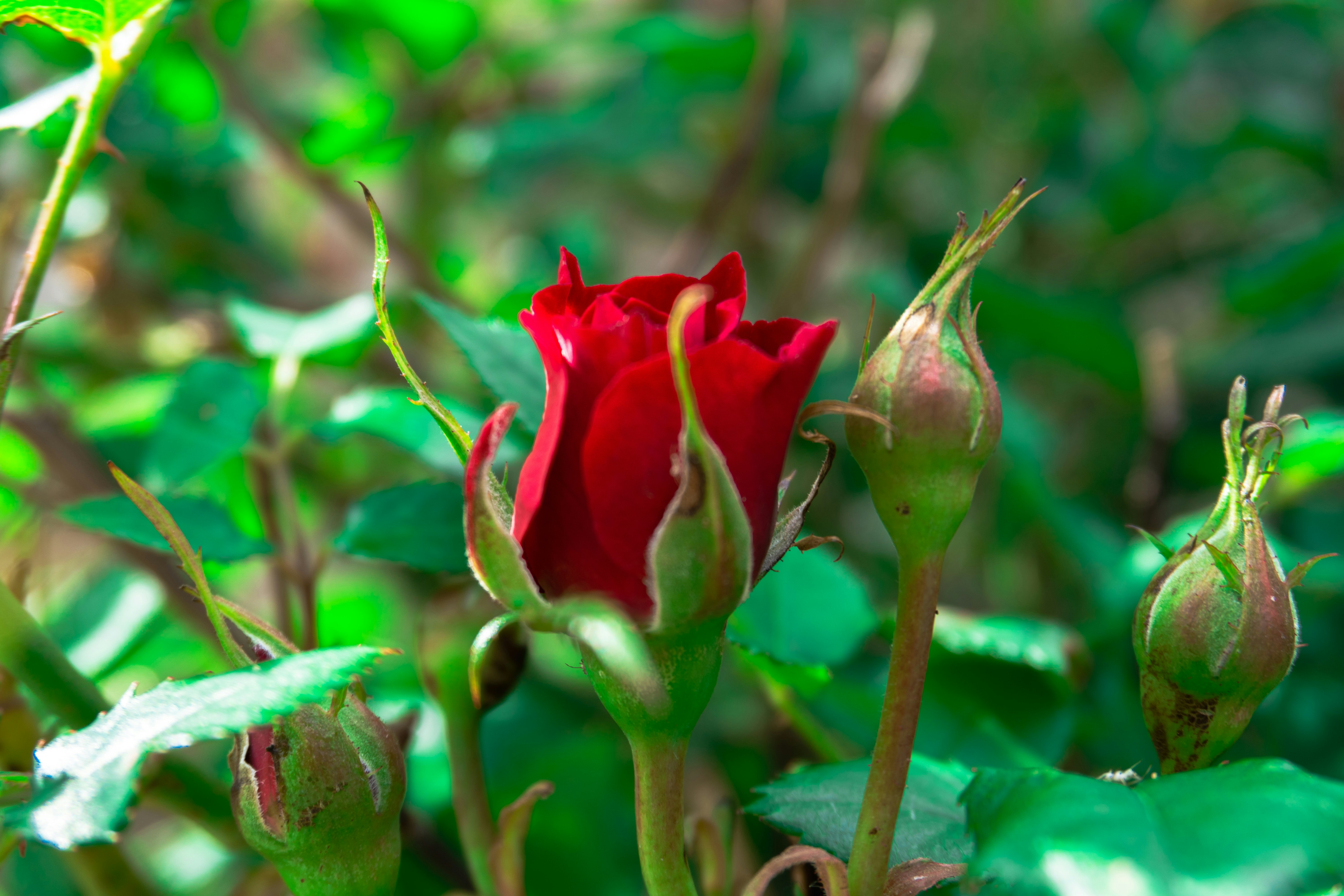 Photo by zulfugarkarimov