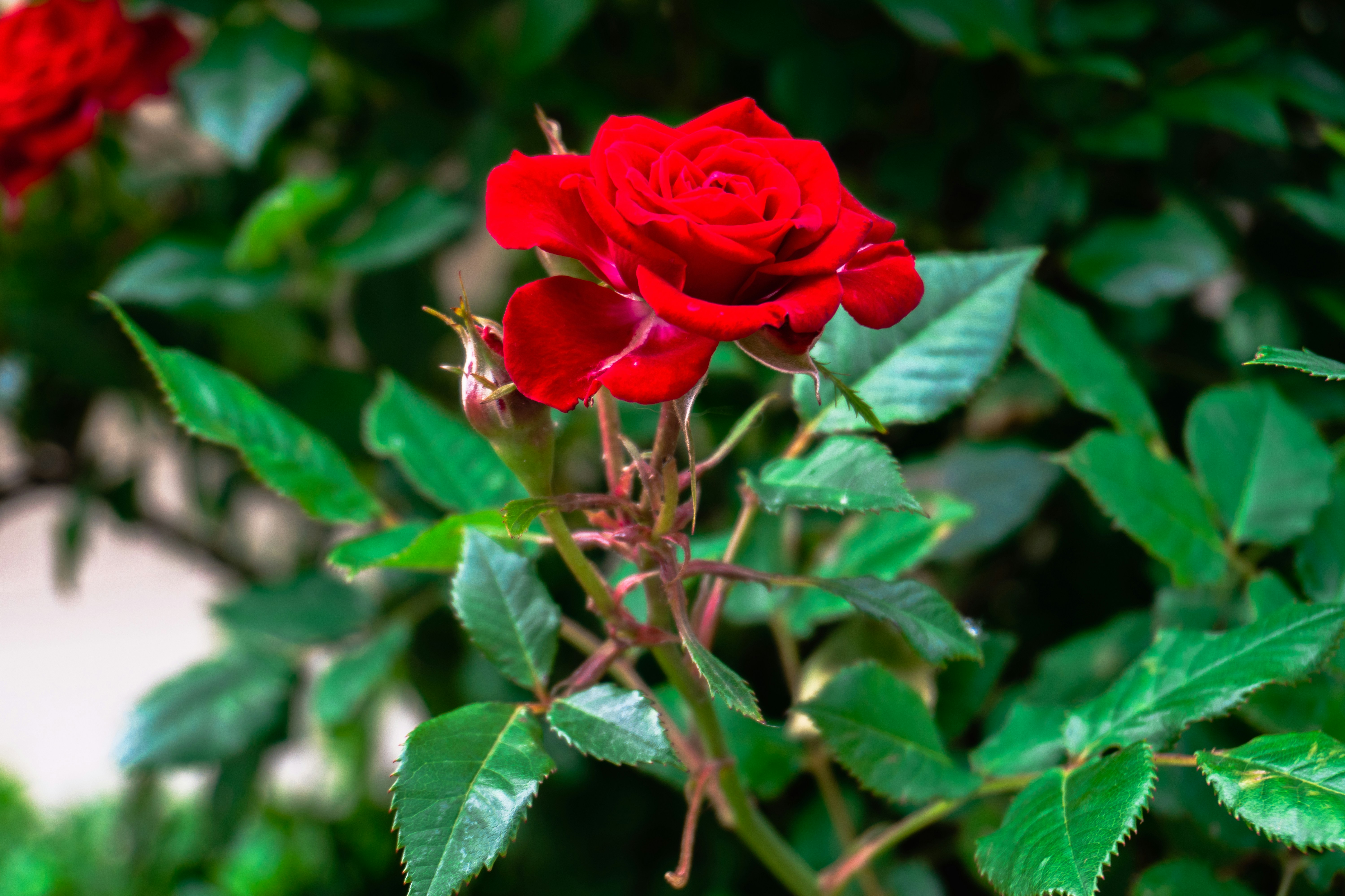 Photo by zulfugarkarimov