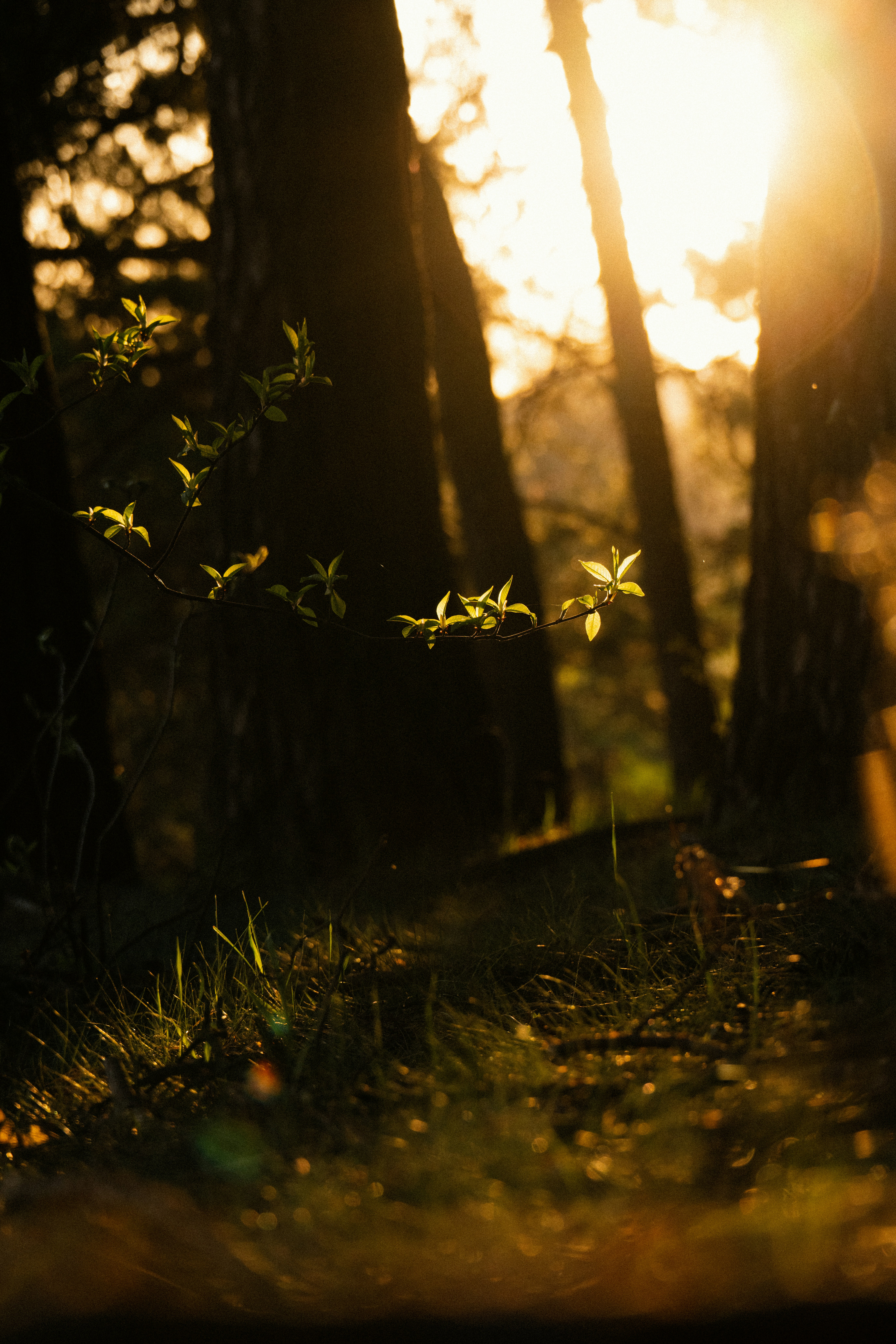 Photo by andreystrizhkov