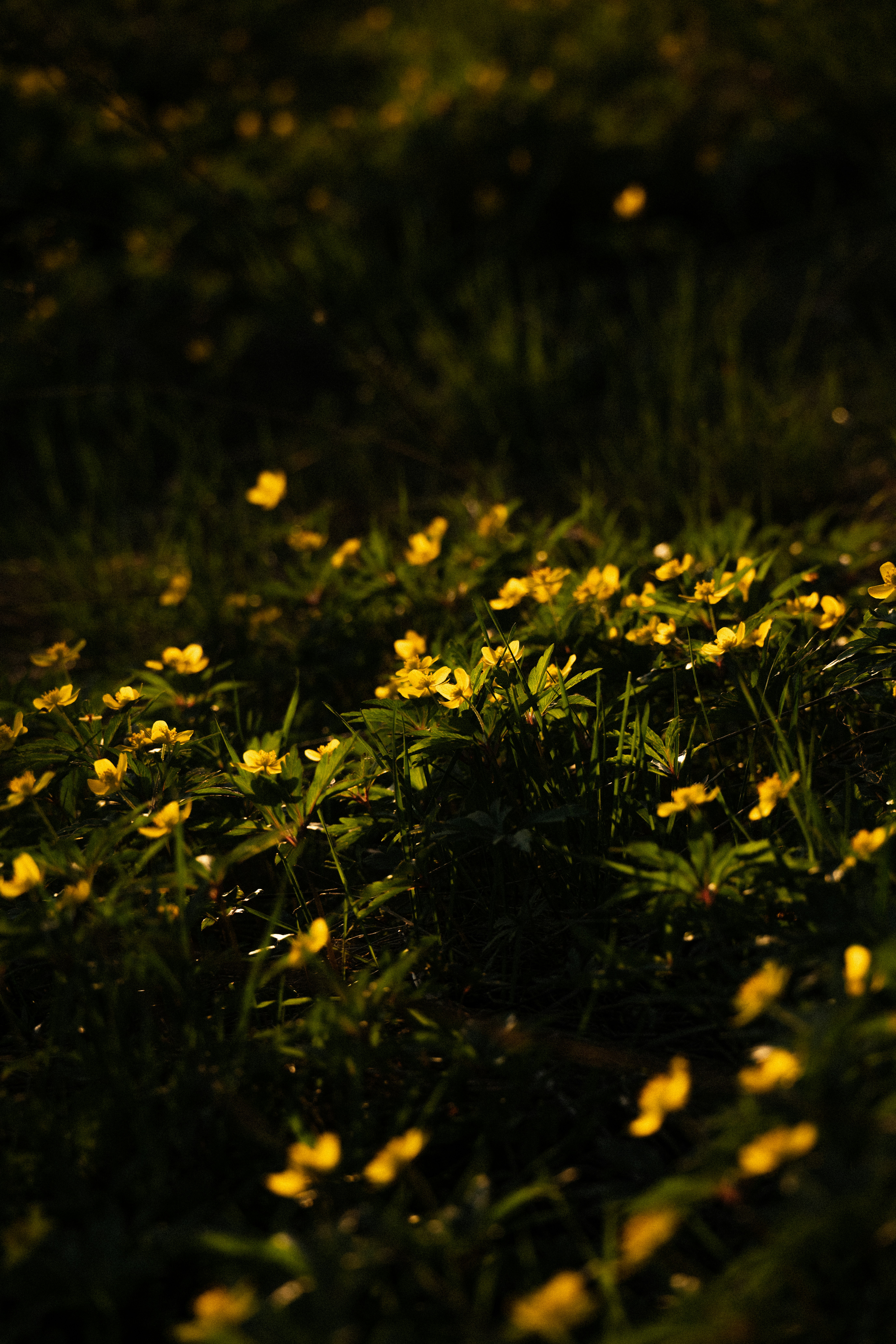 Photo by andreystrizhkov