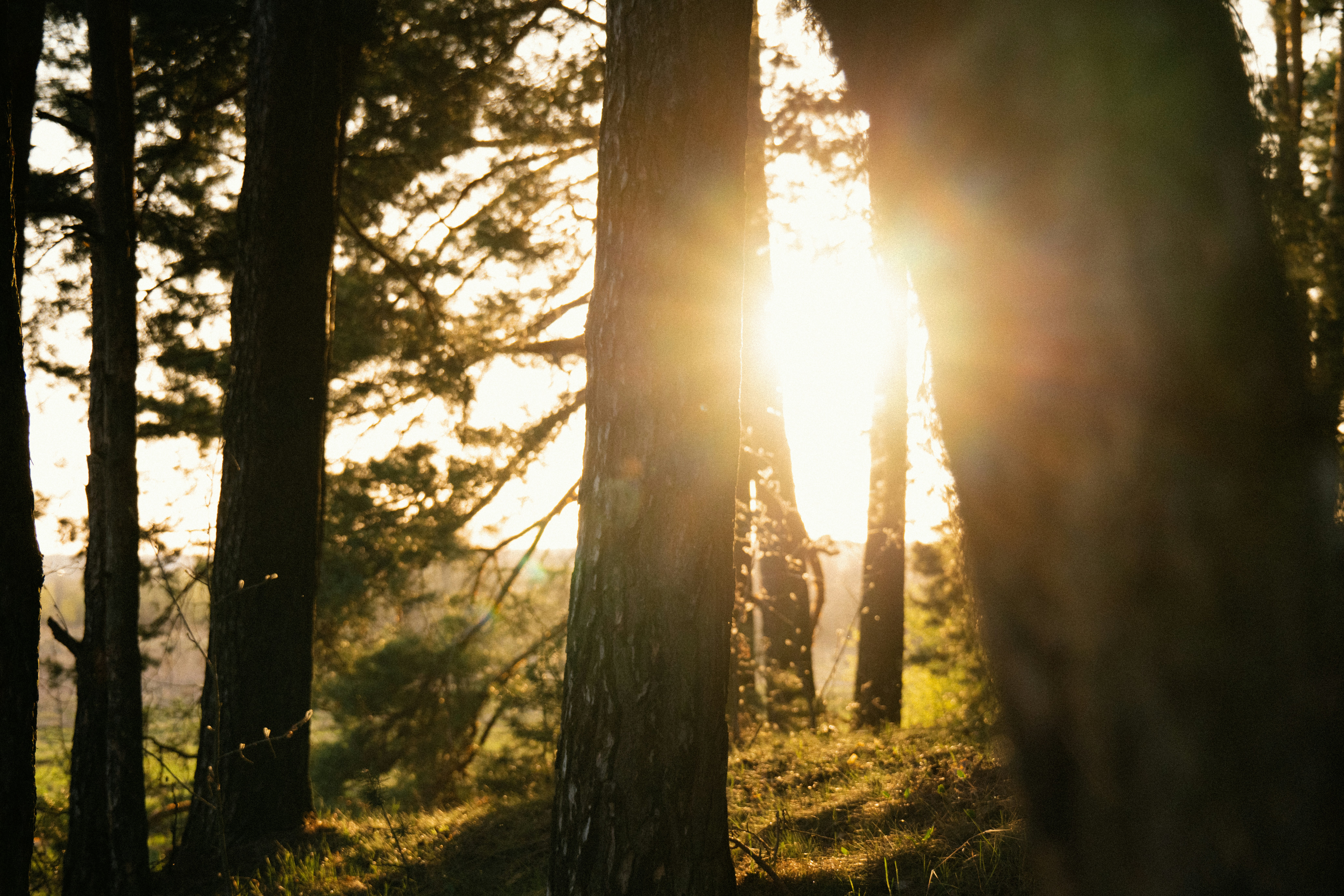 Photo by andreystrizhkov