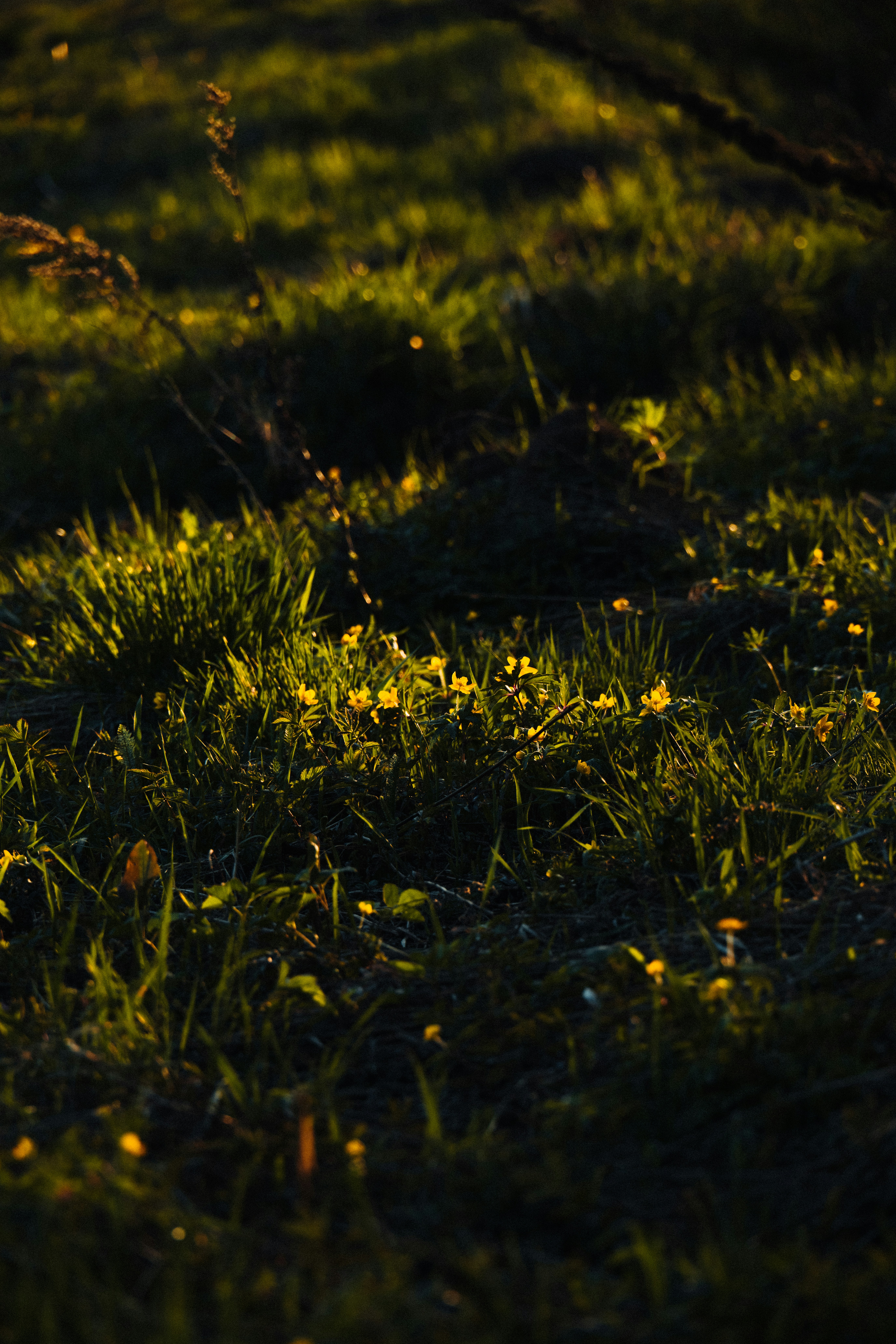 Photo by andreystrizhkov