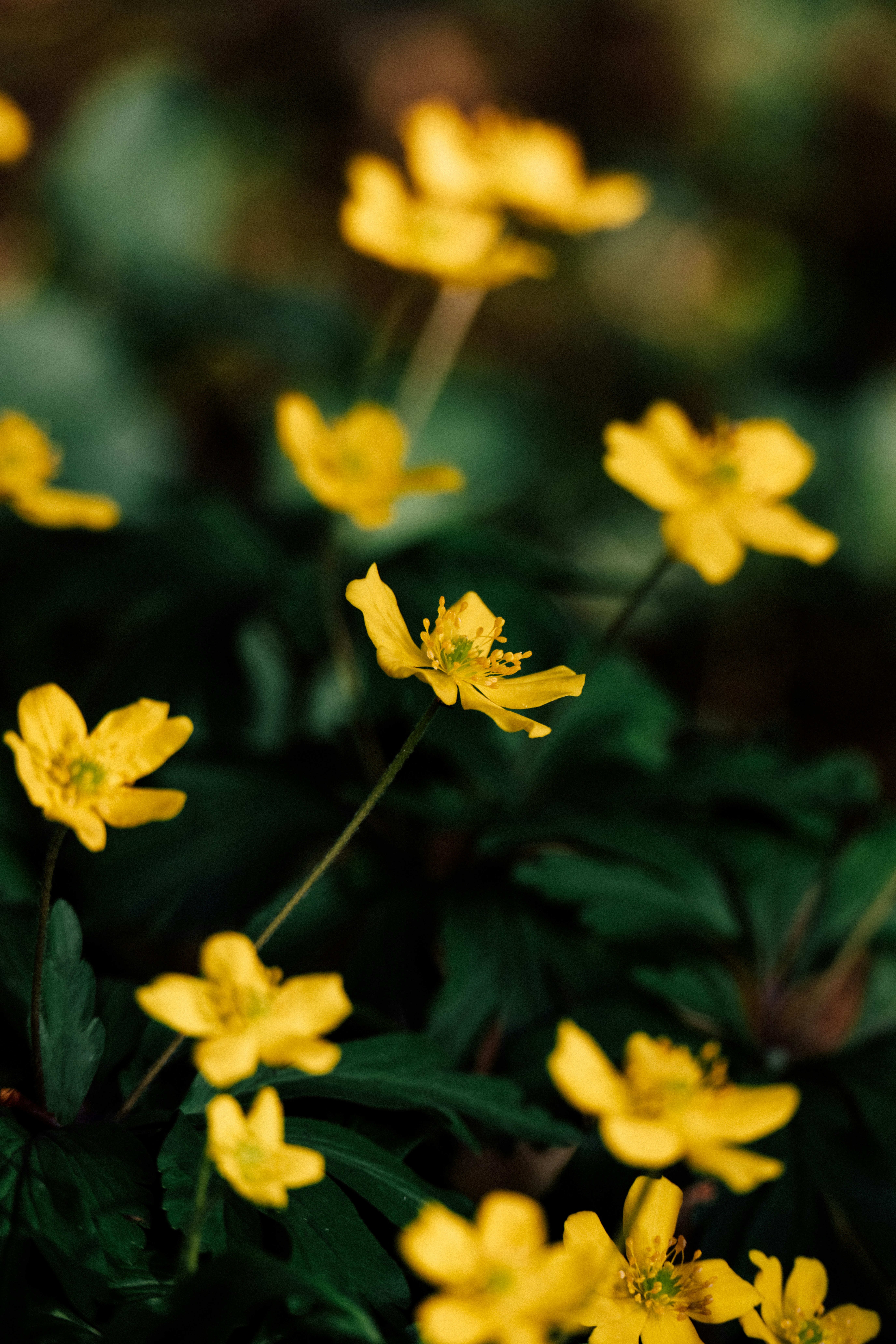 Photo by andreystrizhkov