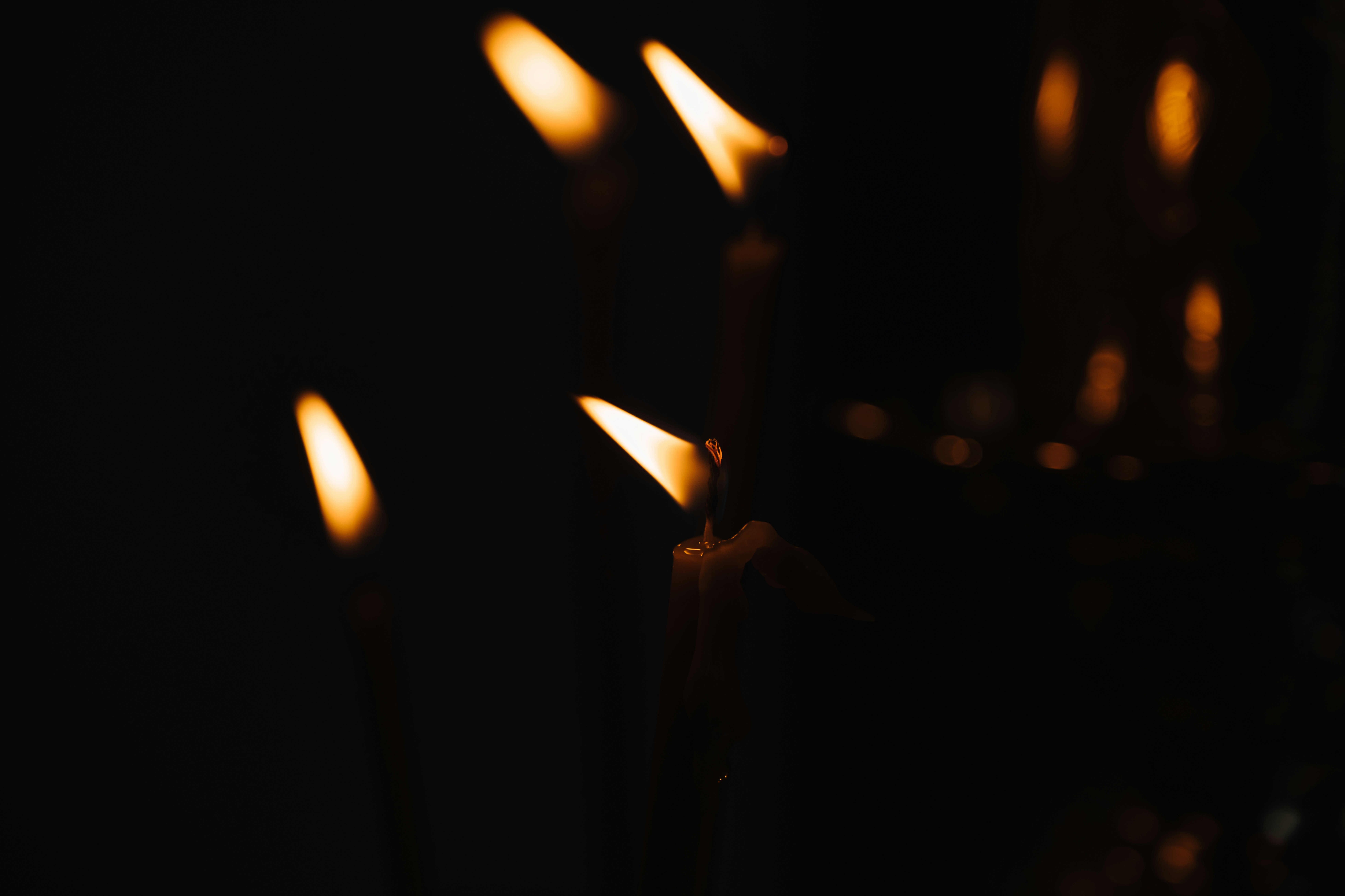 Photo by andreystrizhkov