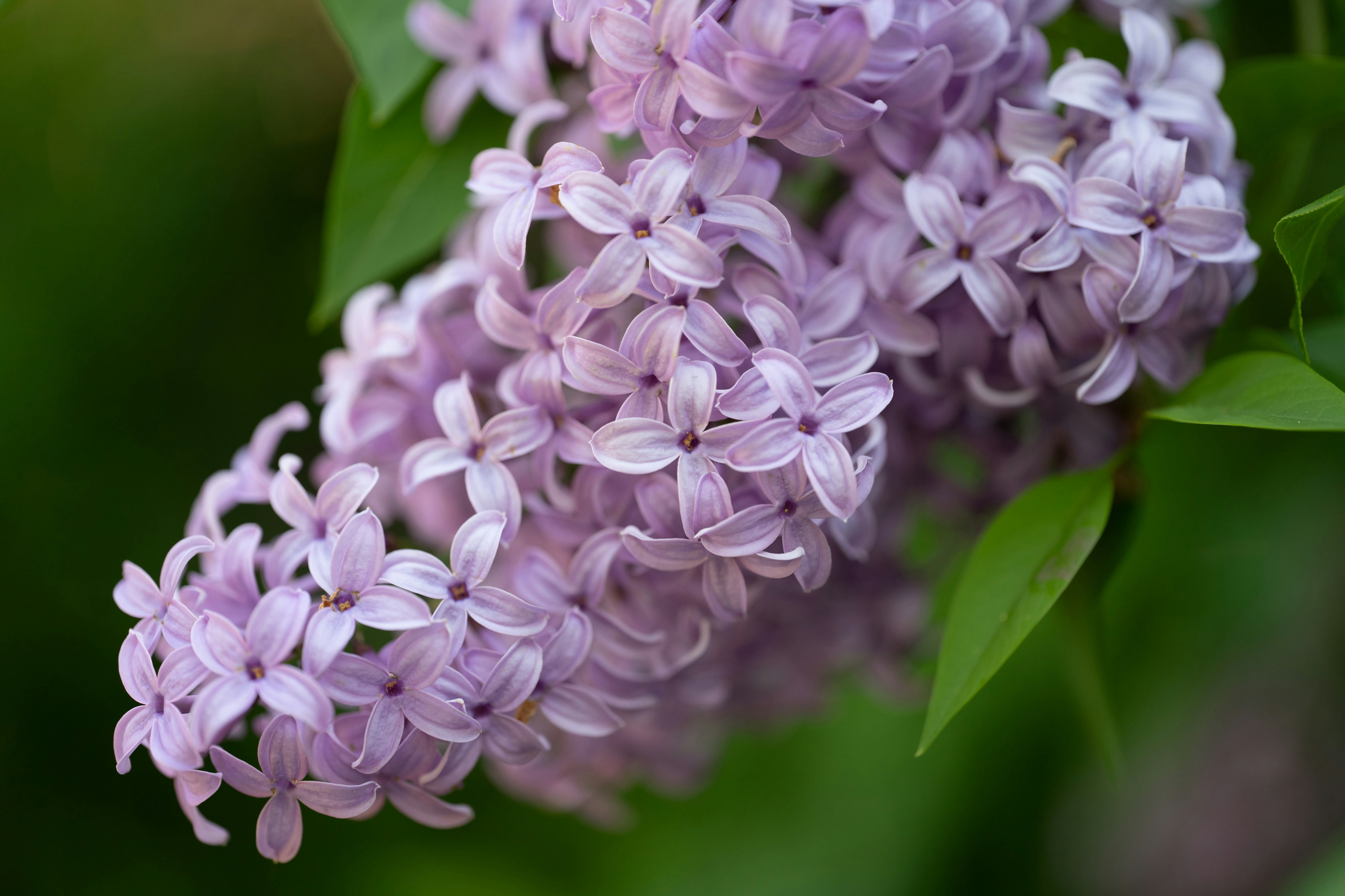 Photo by carrie_borden