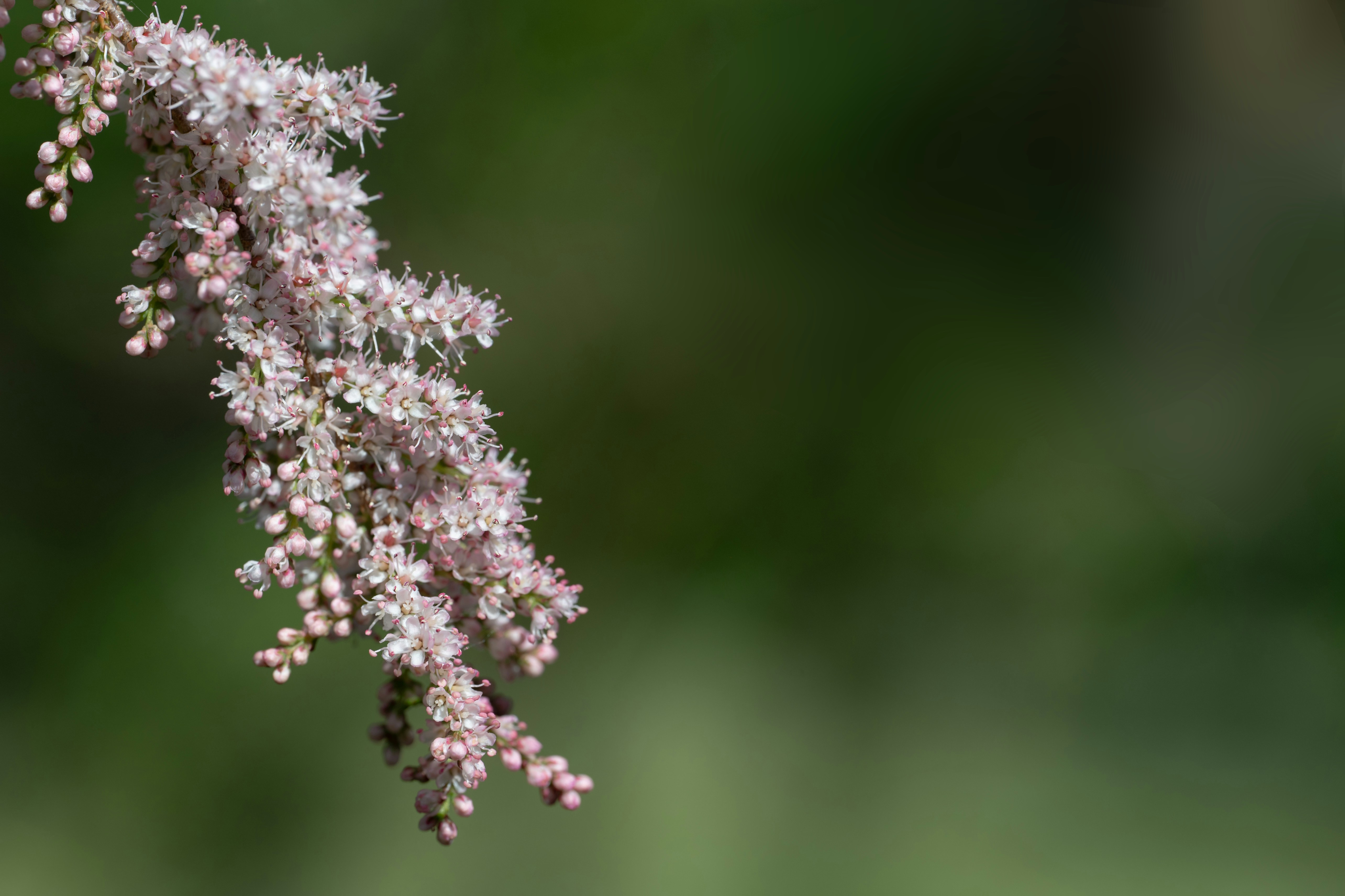 Photo by carrie_borden