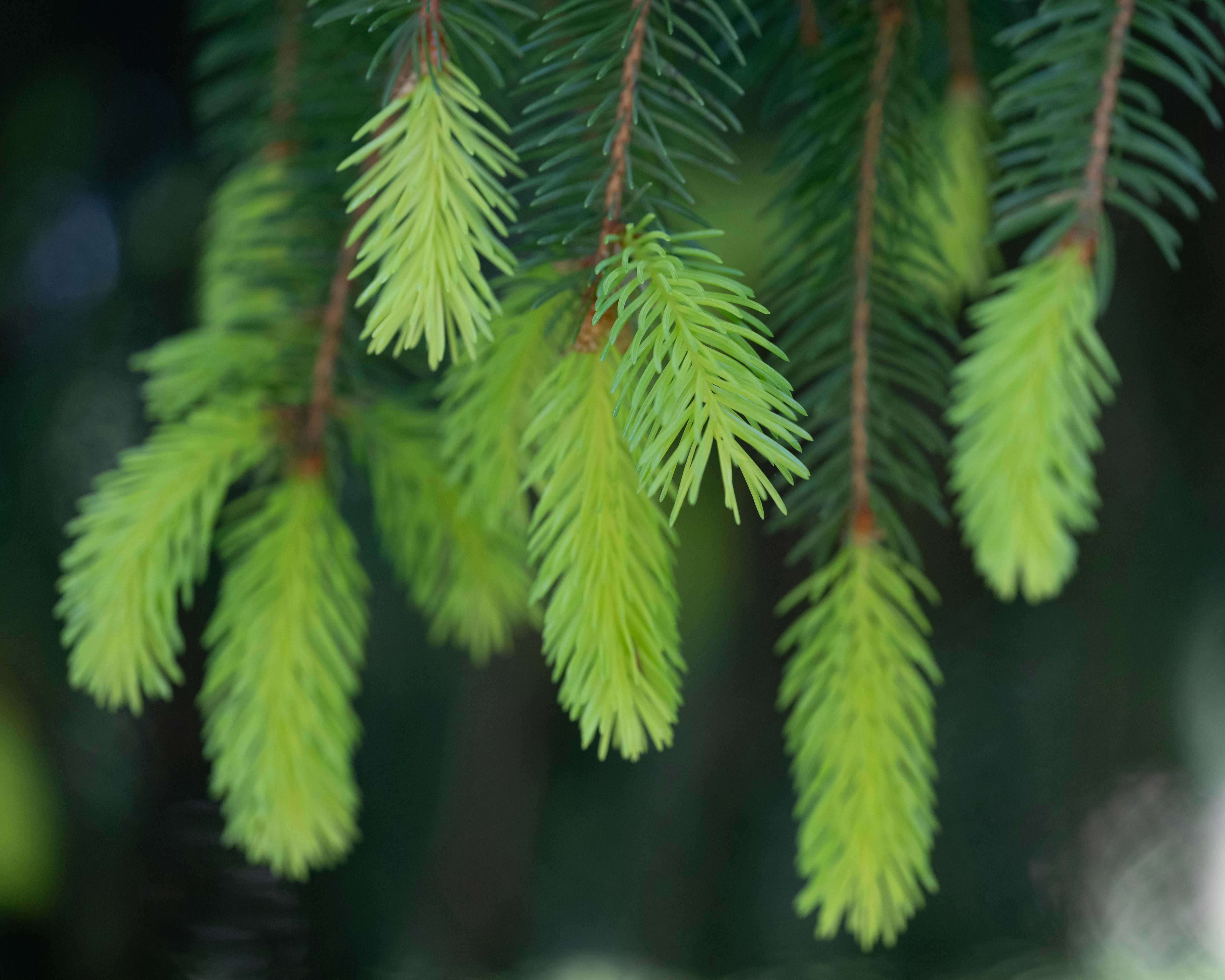 Photo by carrie_borden