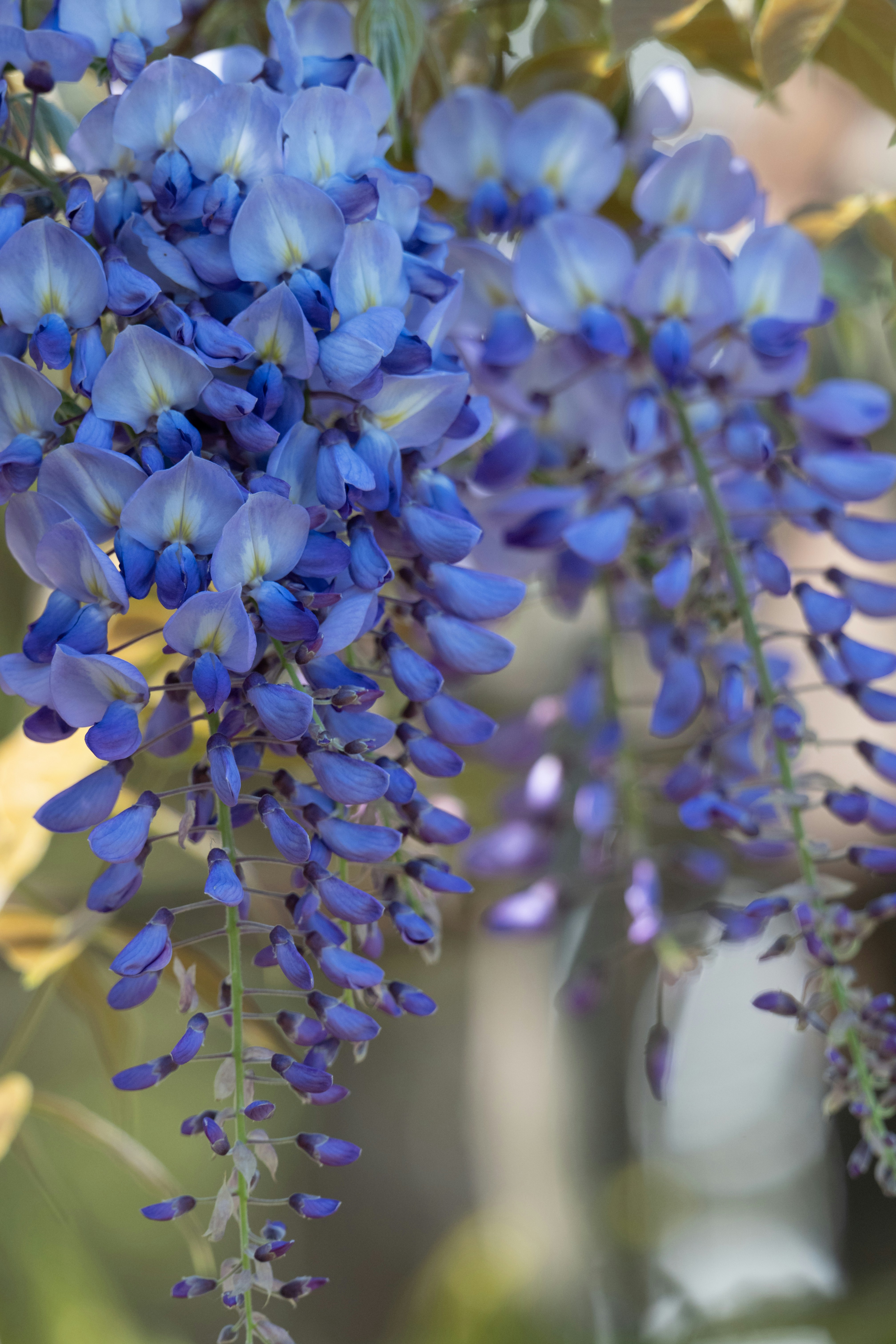 Photo by carrie_borden