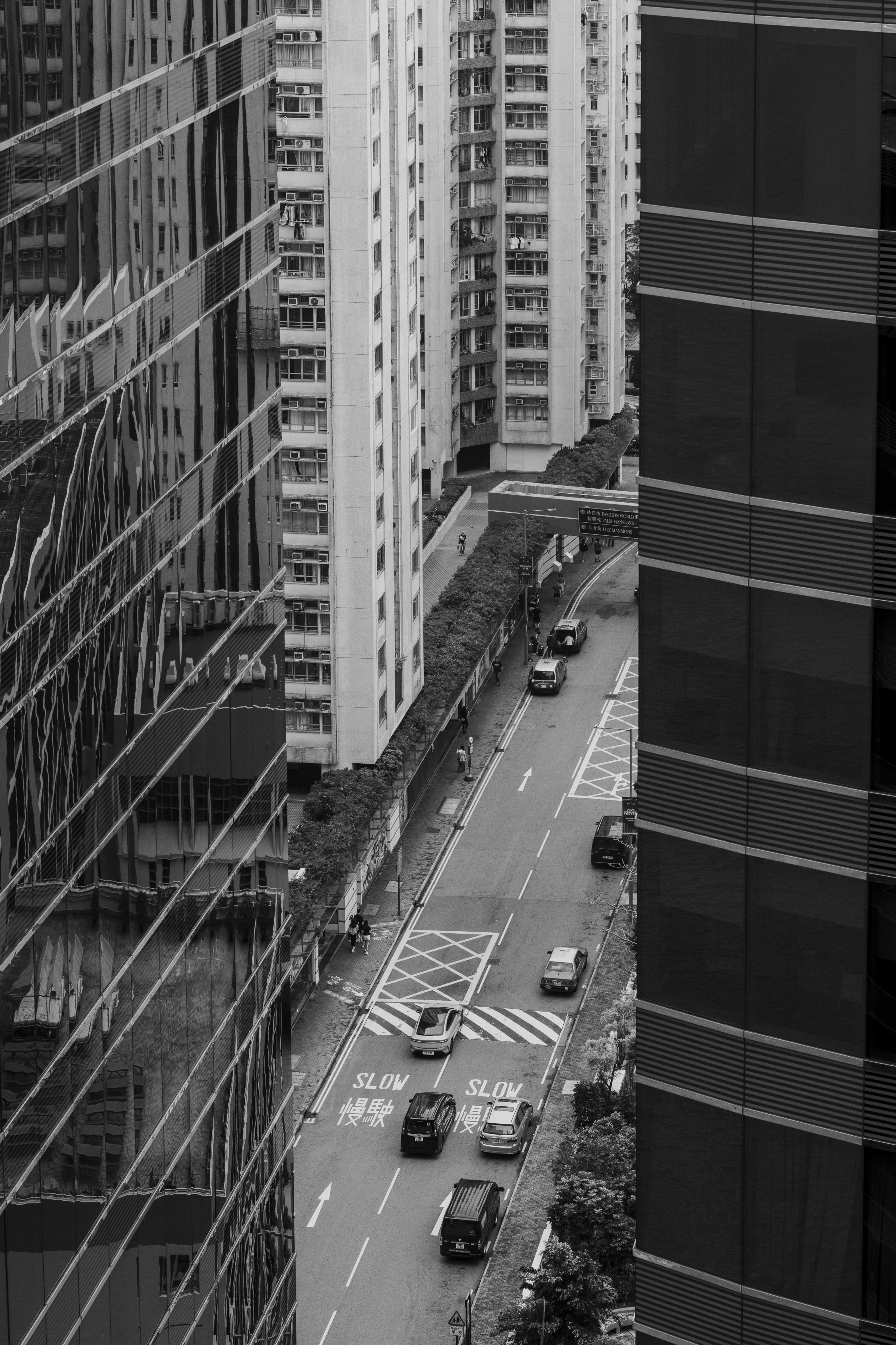 Photo by nerissa_j_photography