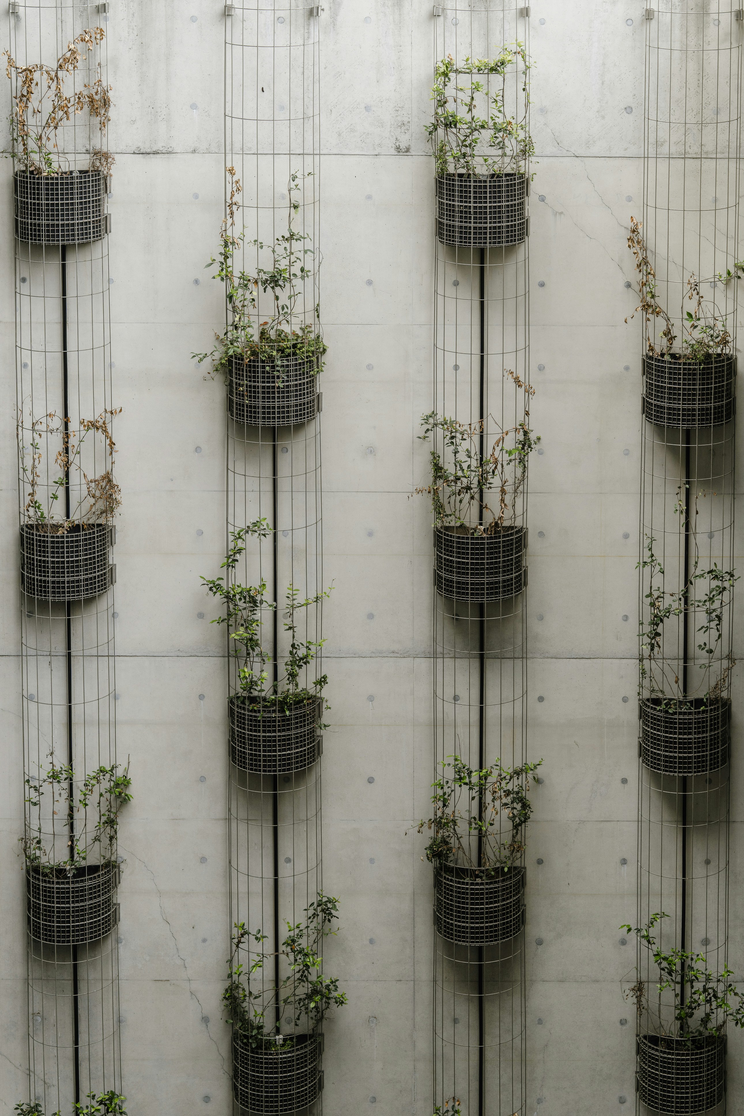 Photo by nerissa_j_photography