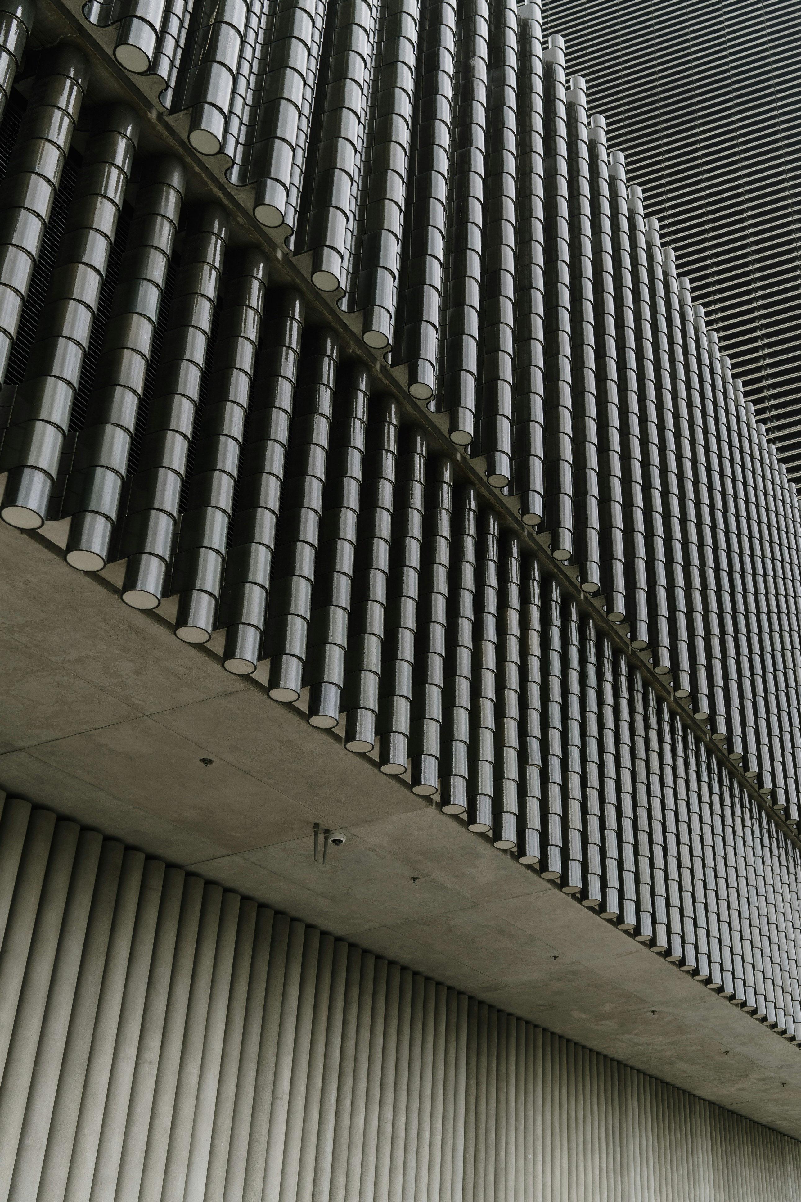 Photo by nerissa_j_photography