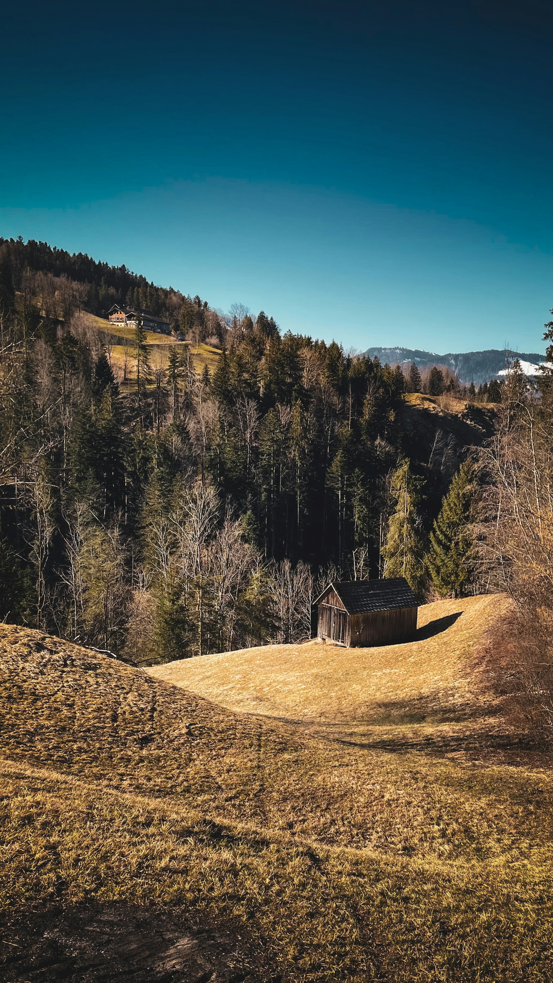 Uma cabana fica em meio a uma paisagem bonita e exuberante.