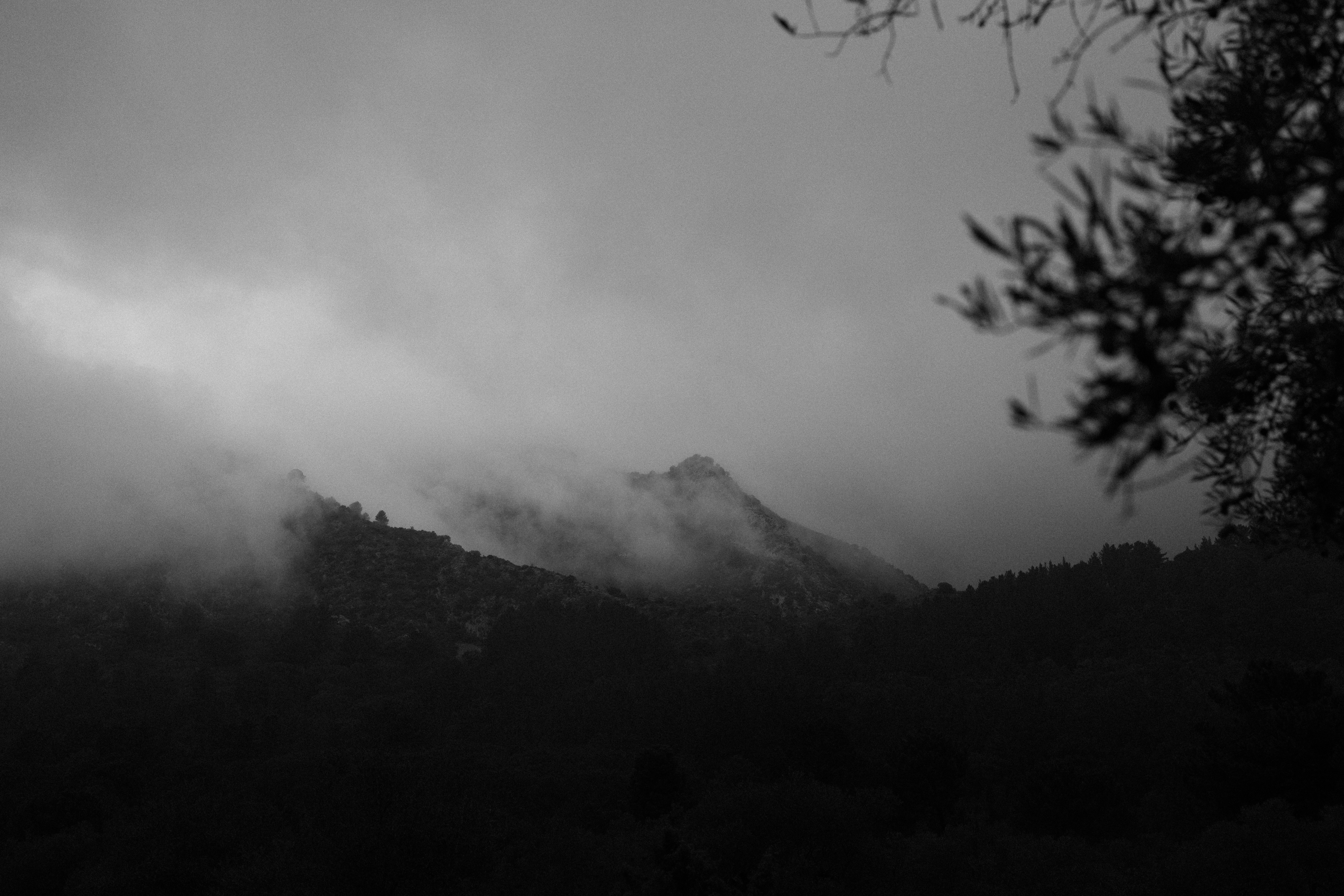 Photo by victor_broch