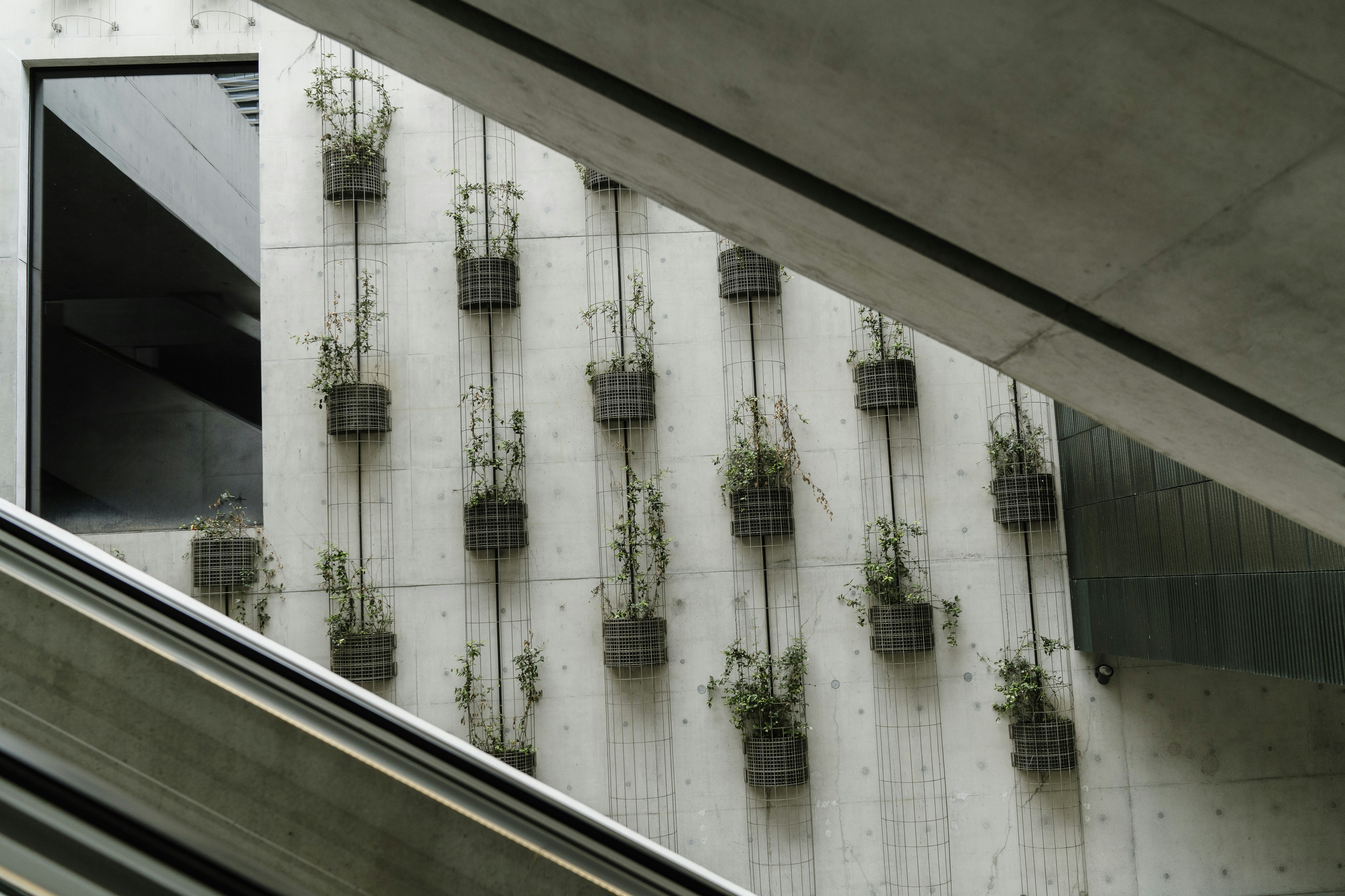 Photo by nerissa_j_photography