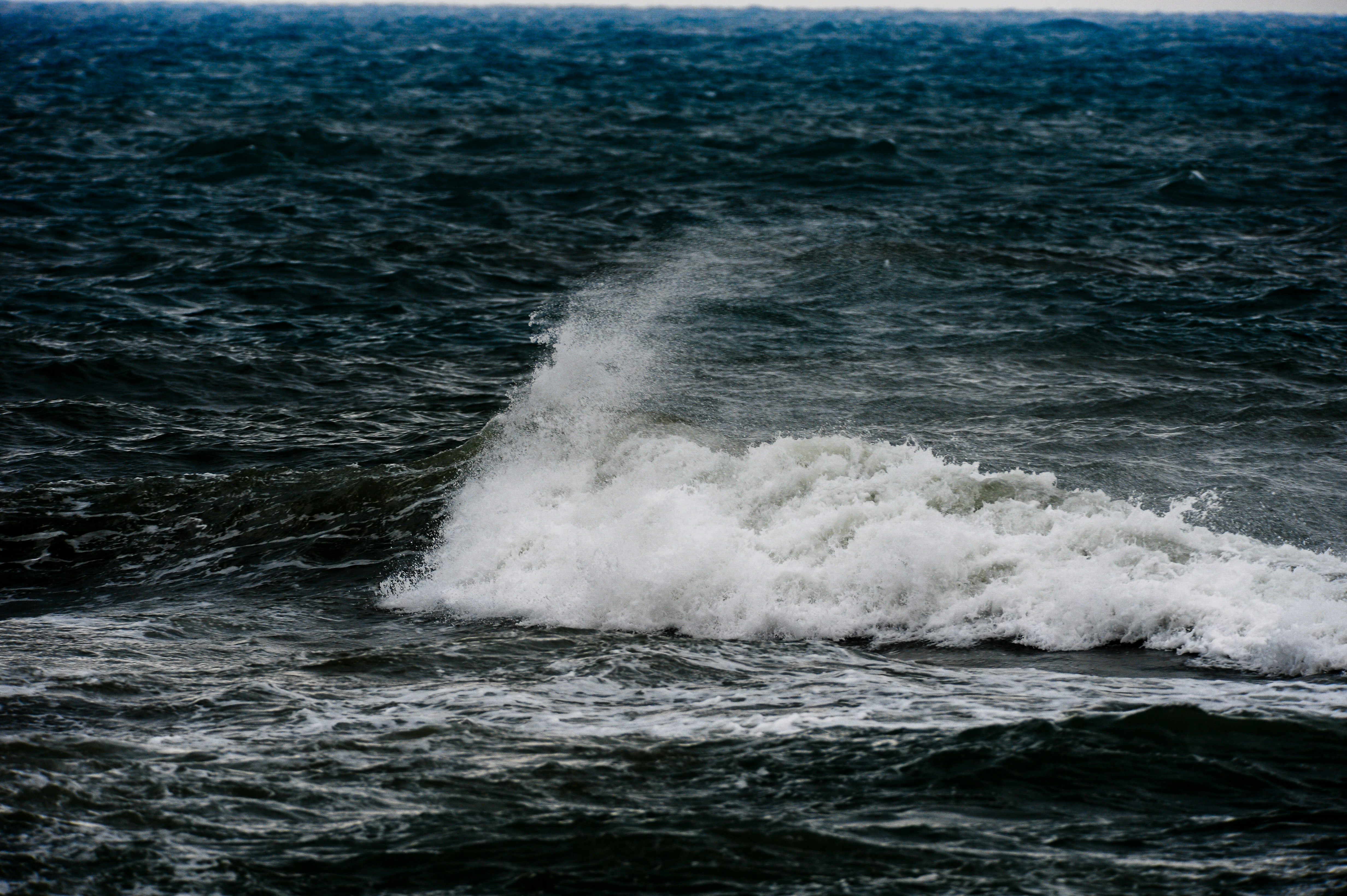 Photo by lucaakalu
