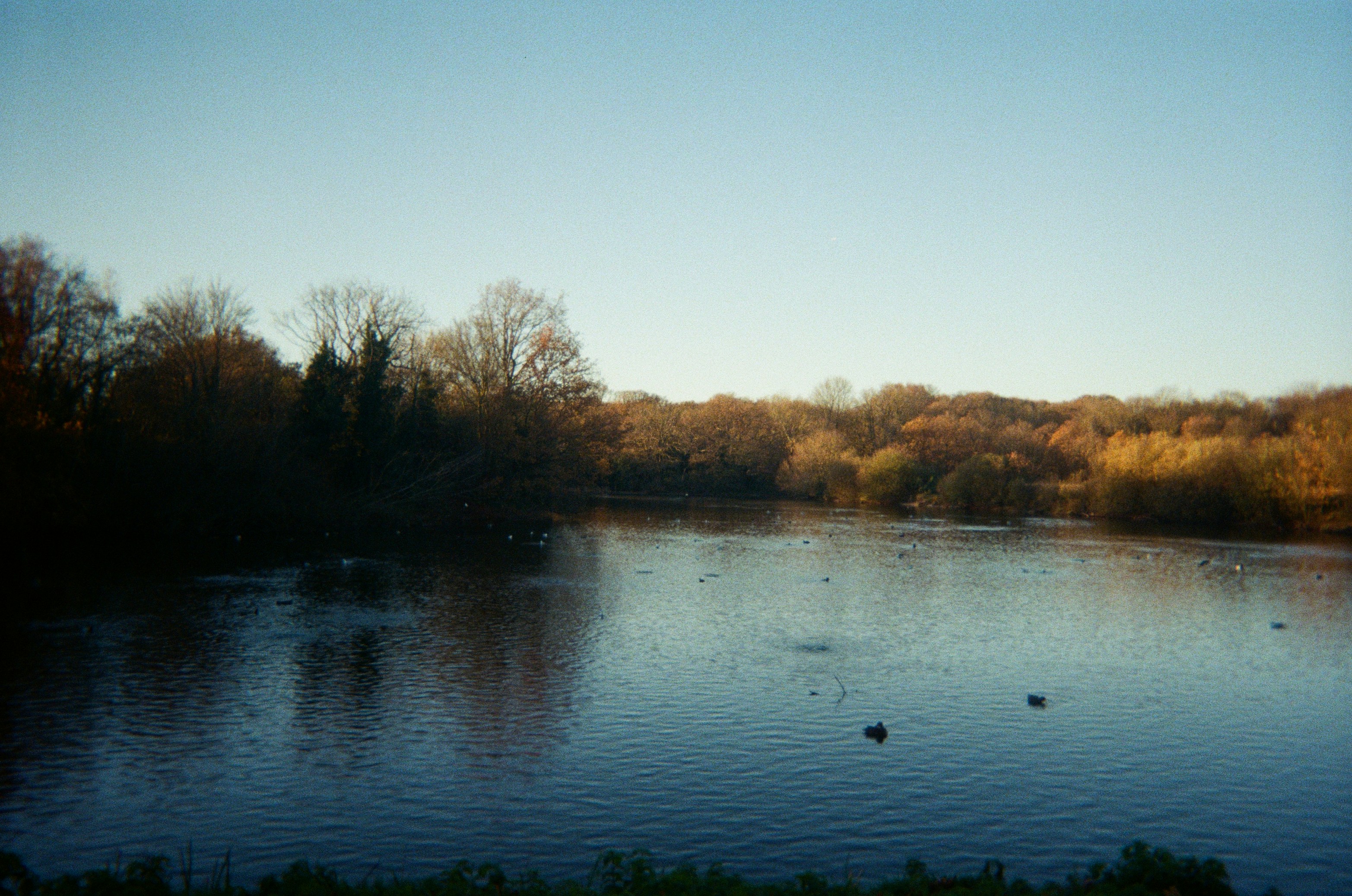 Photo by siobhanflannery