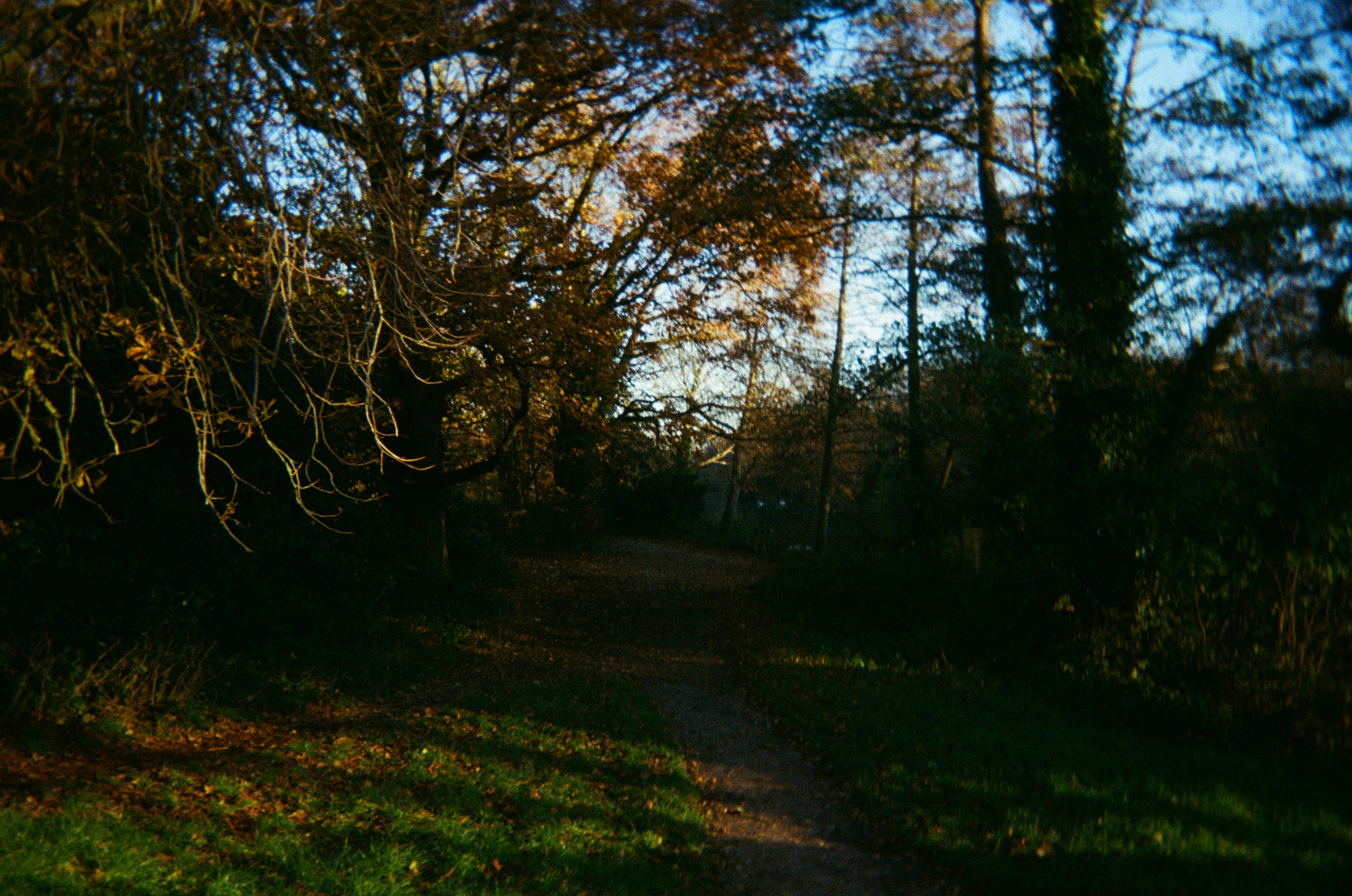 Photo by siobhanflannery