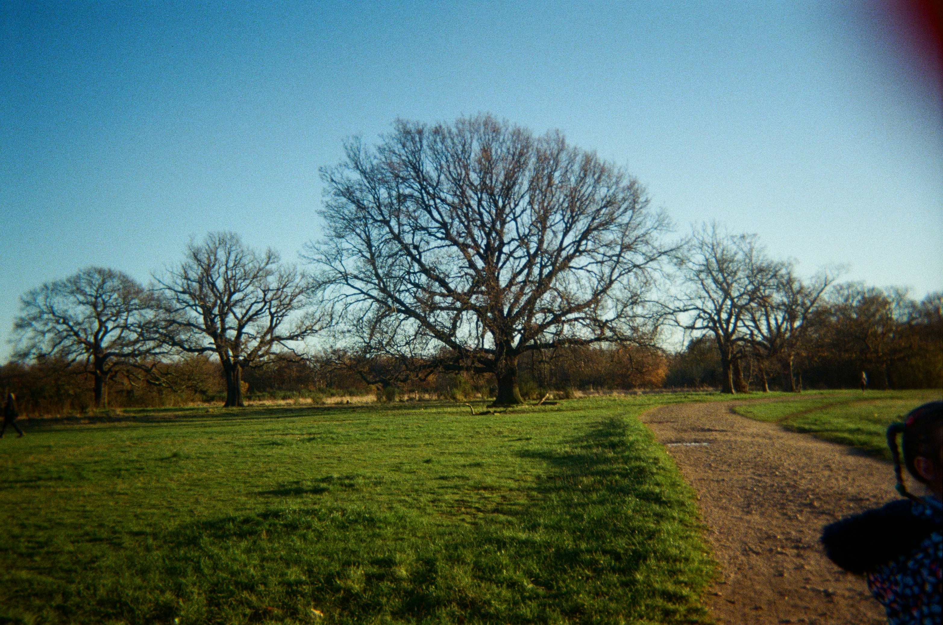 Photo by siobhanflannery