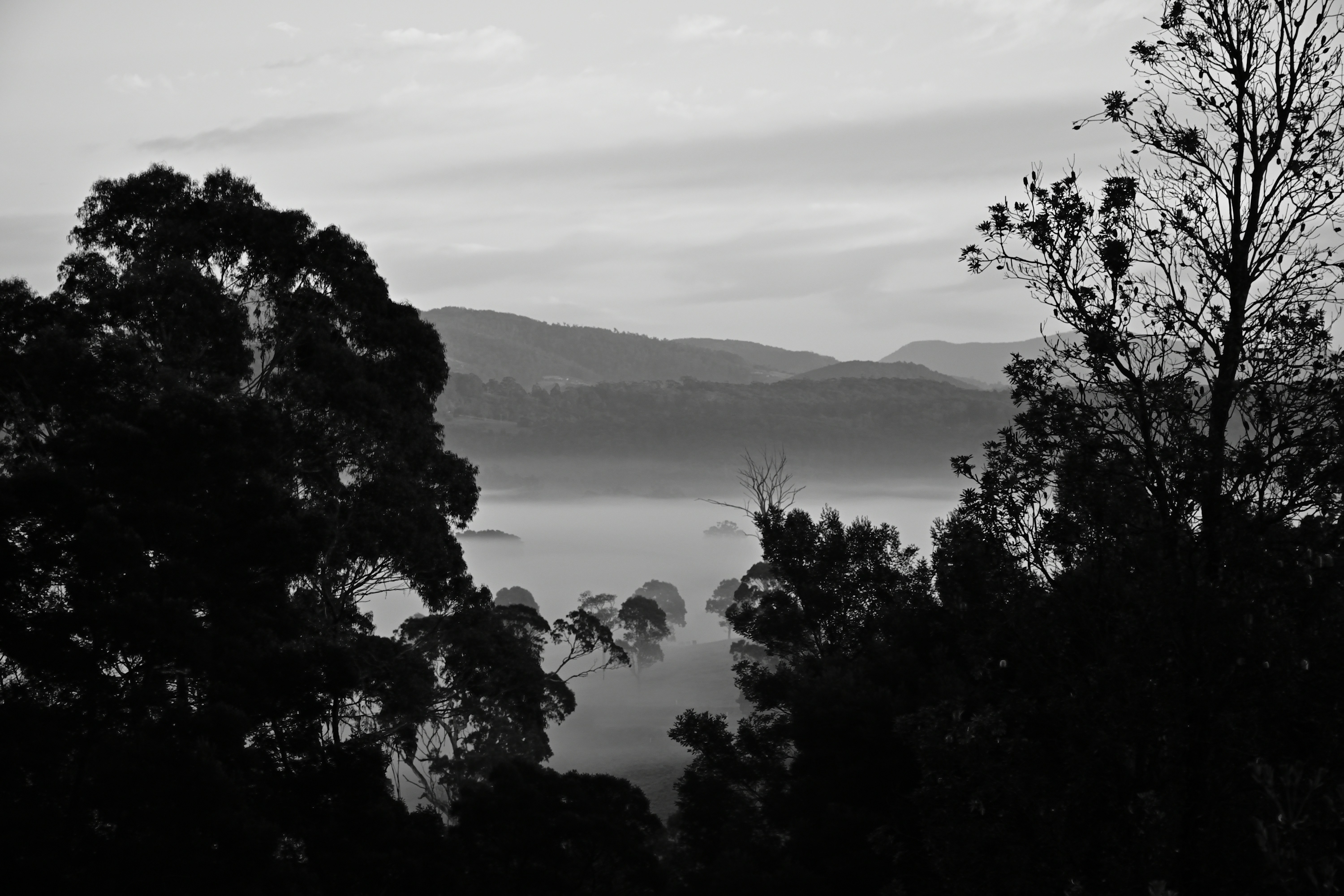 Photo by pijman