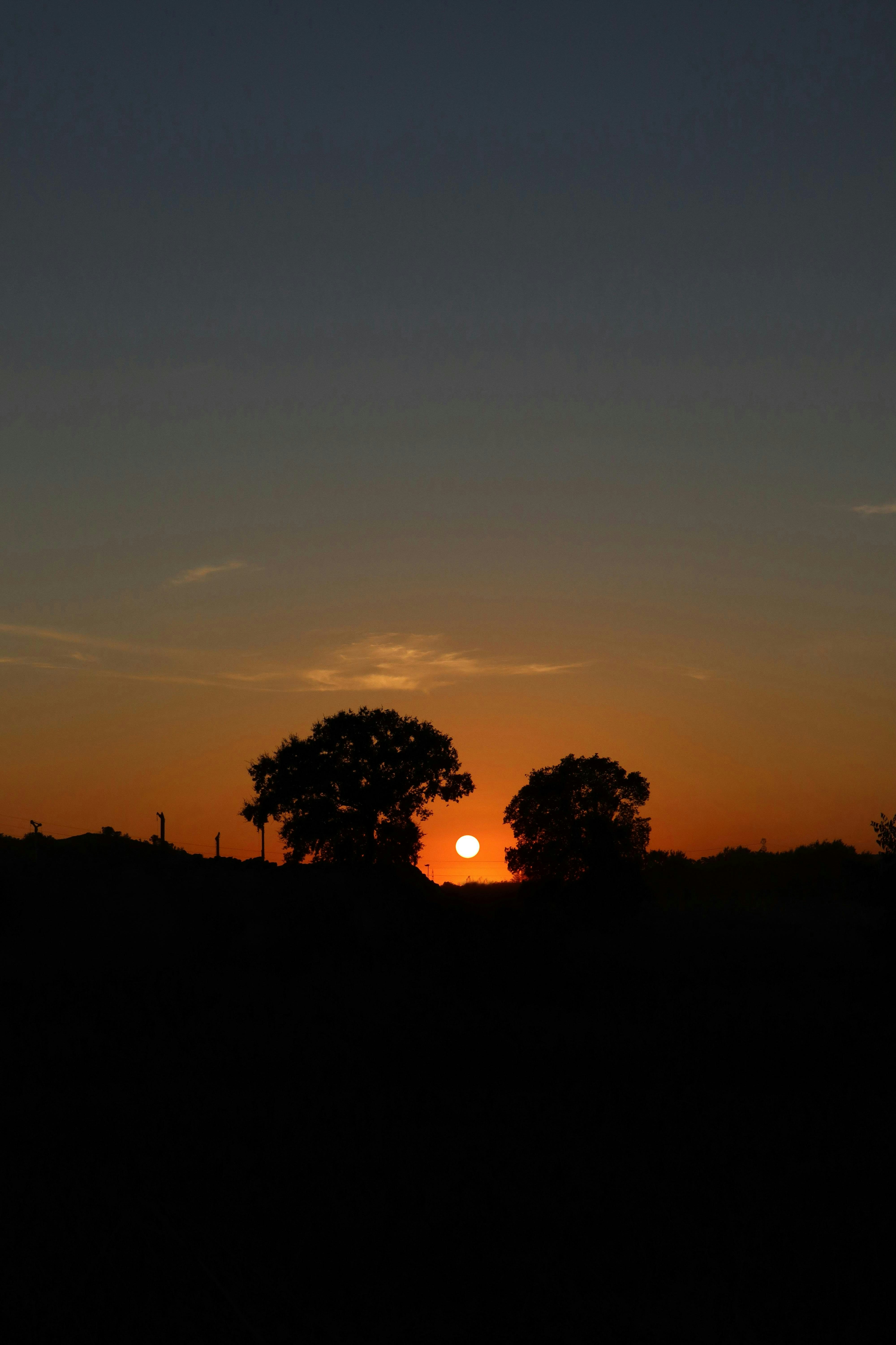 La puesta de sol recorta dos árboles contra un cielo ardiente.