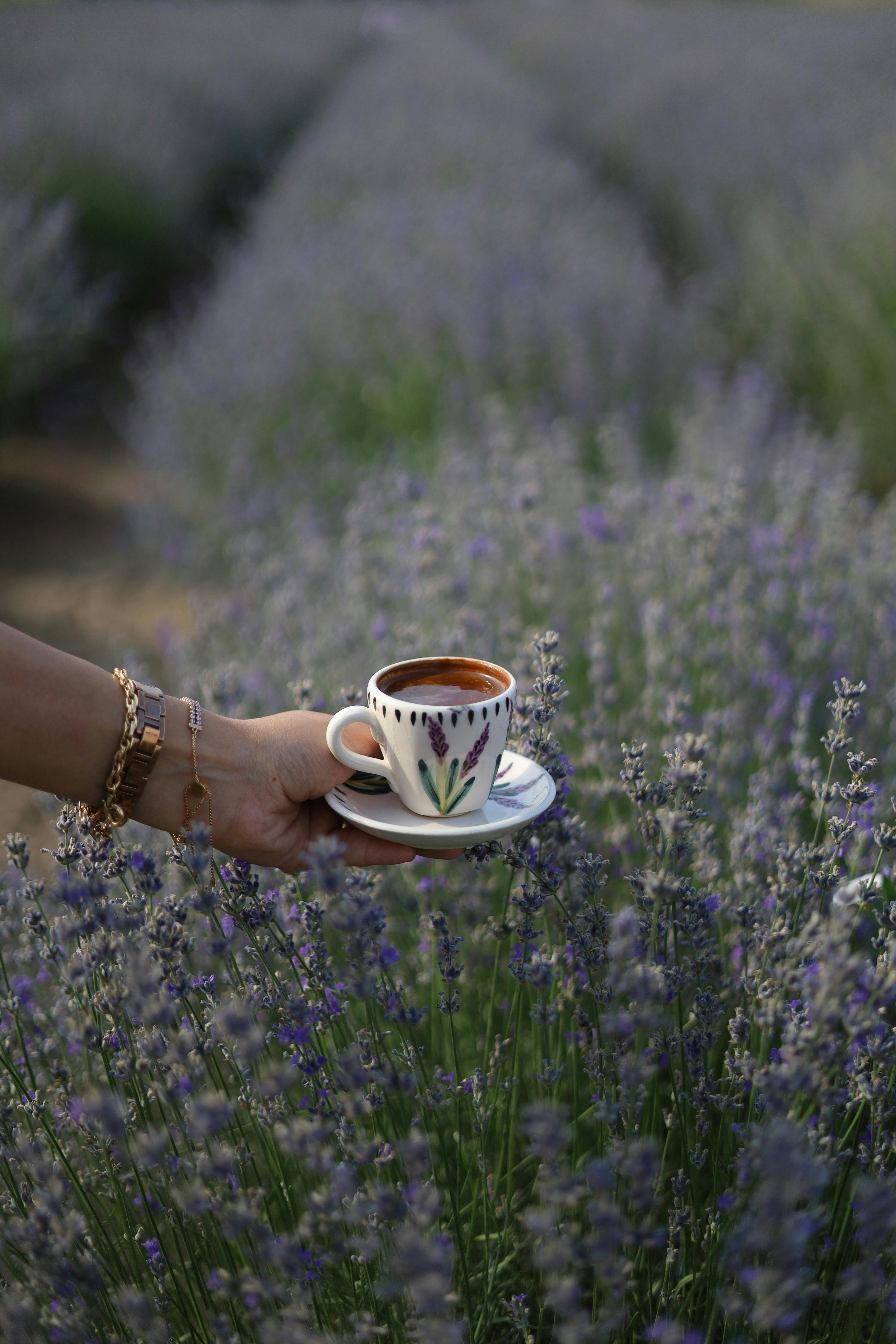 Café en un campo de lavanda.