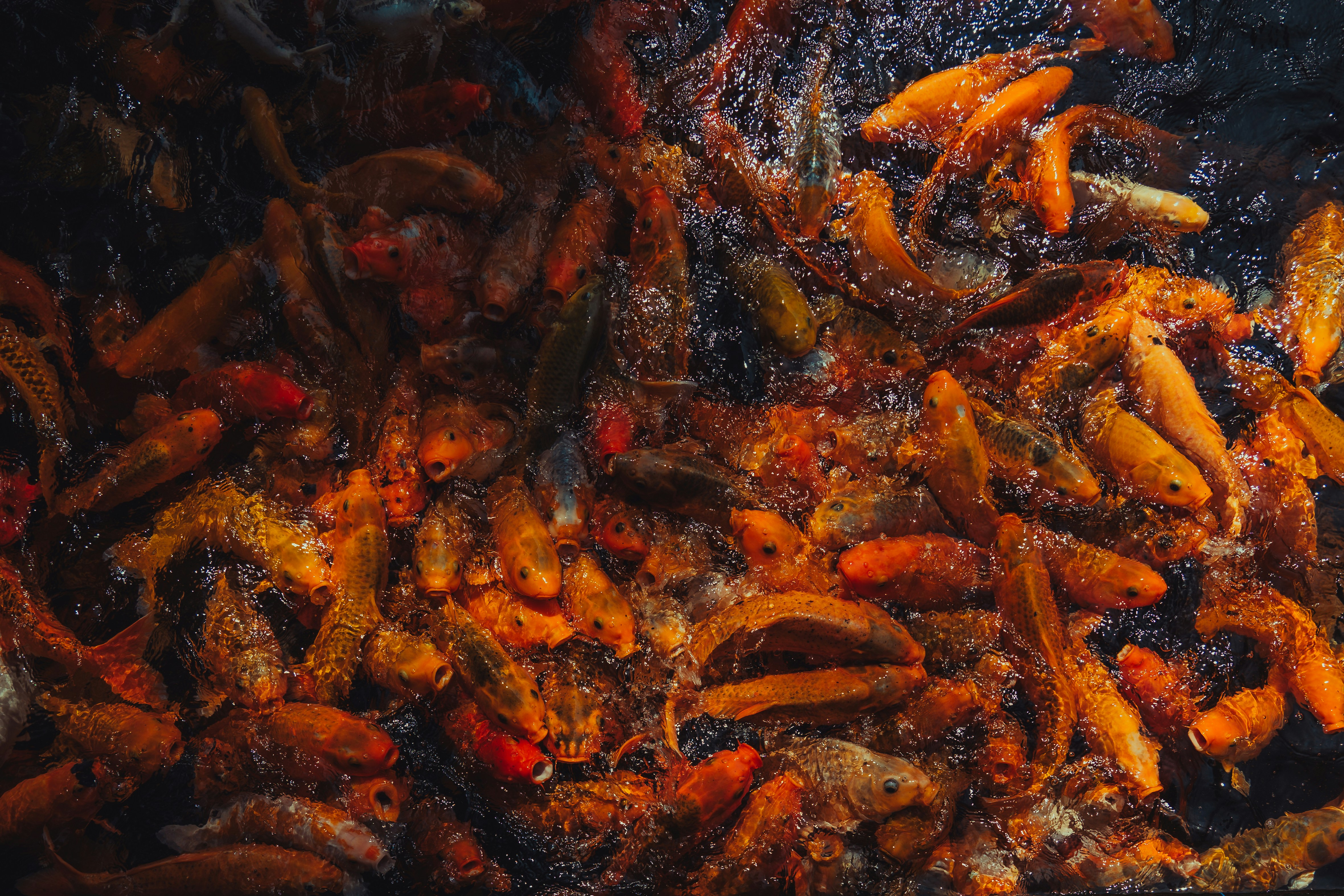 Photo by matthewryanstephenson