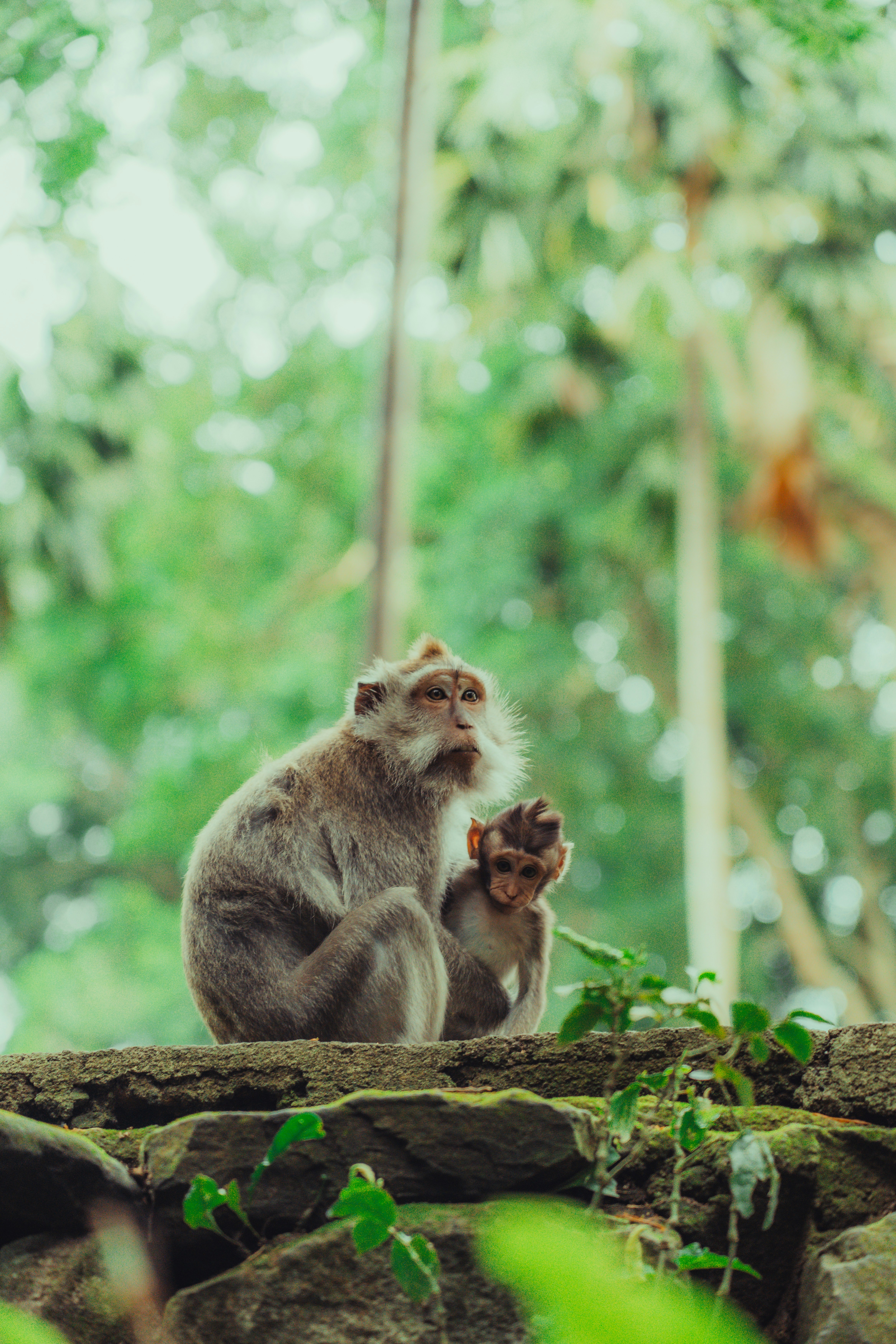 Photo by matthewryanstephenson