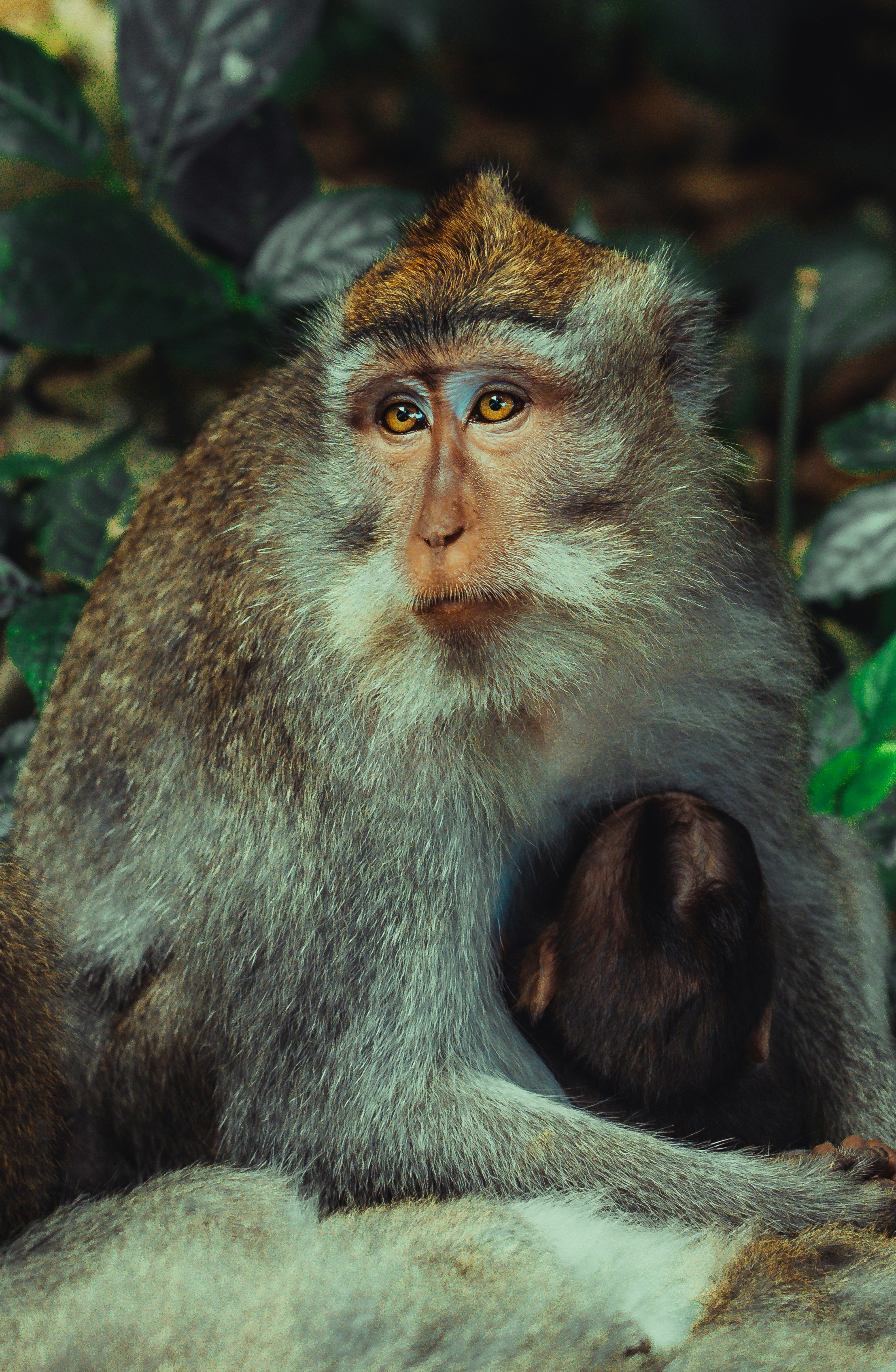 Photo by matthewryanstephenson