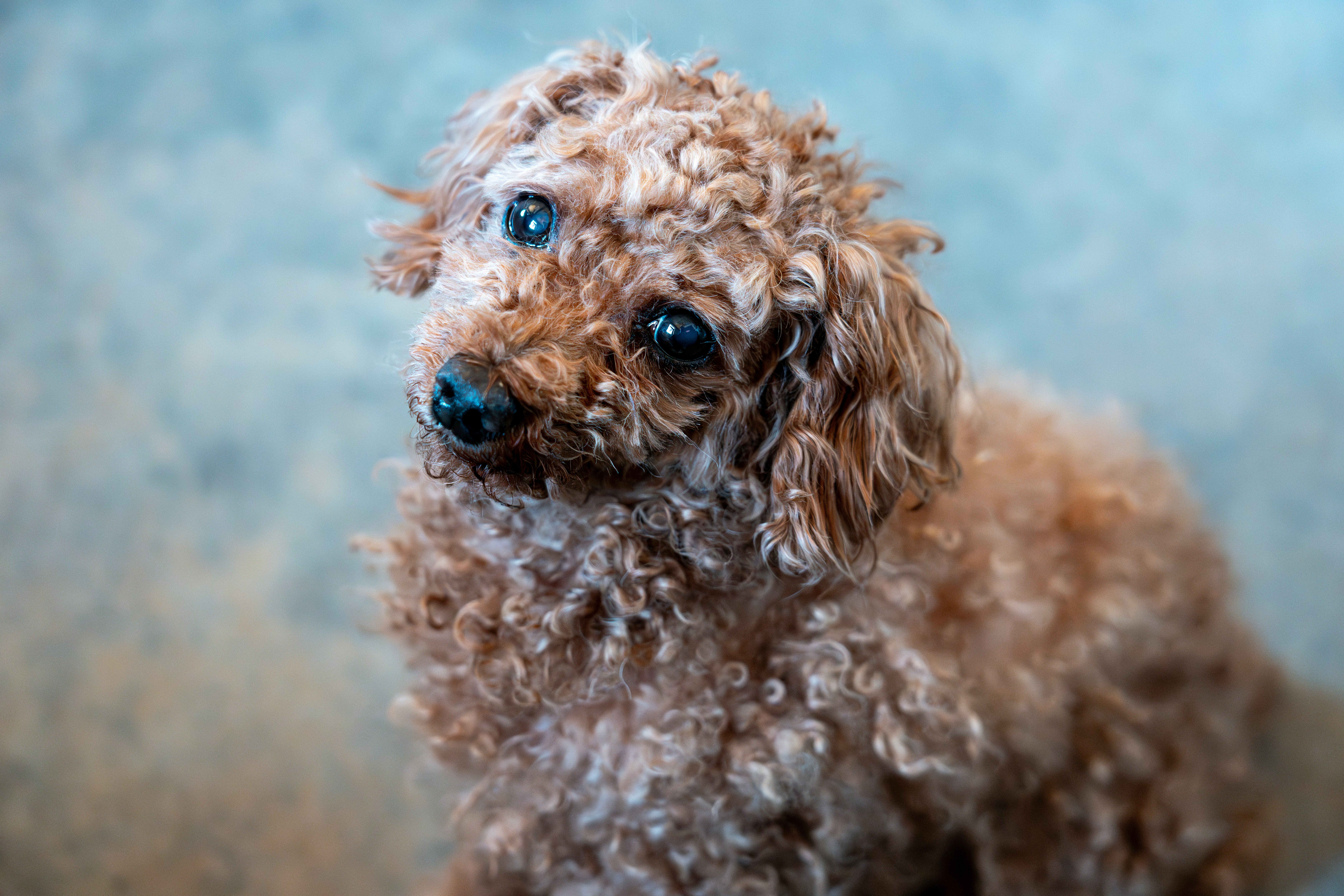 Photo by douglasalan