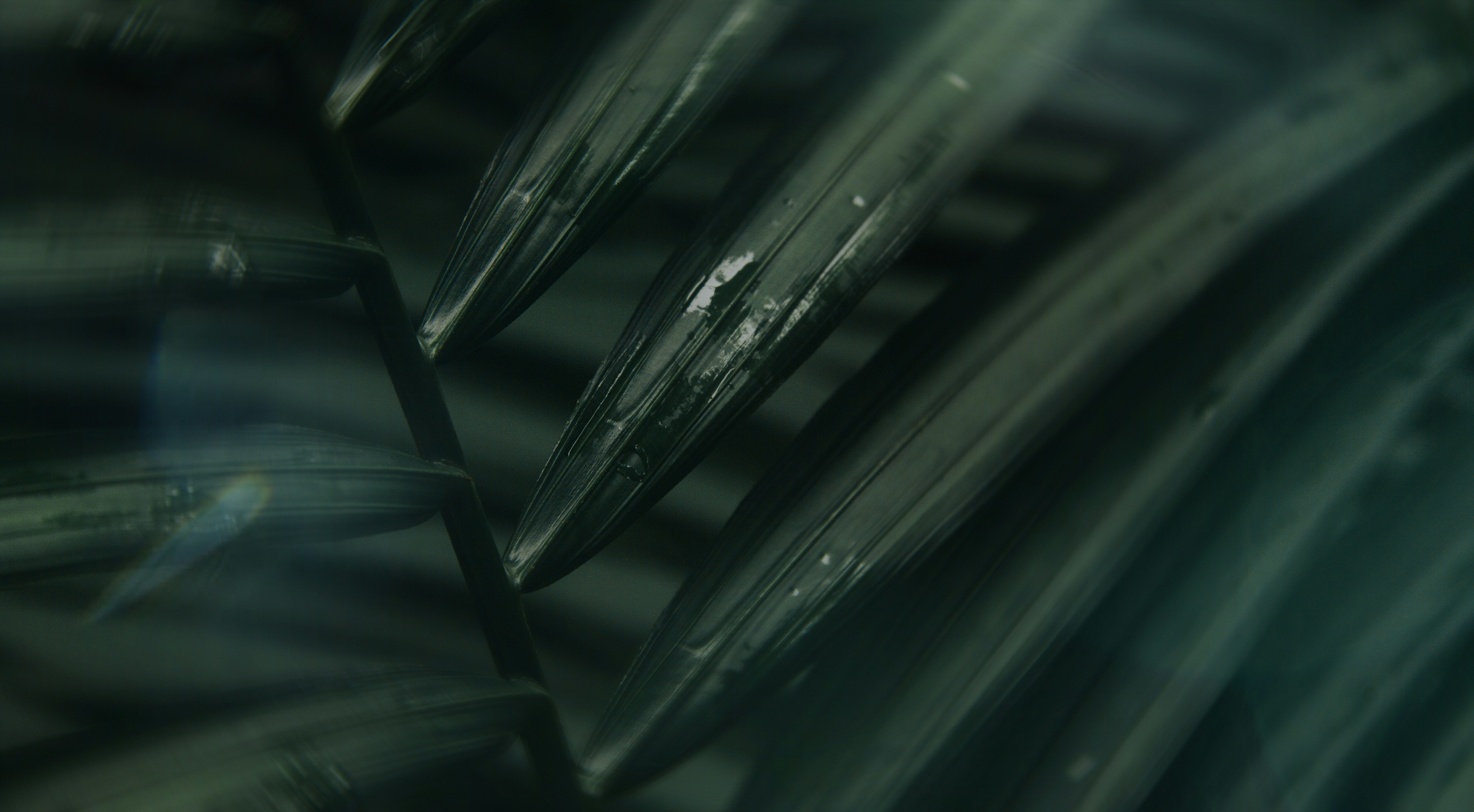 Photo by matthewryanstephenson