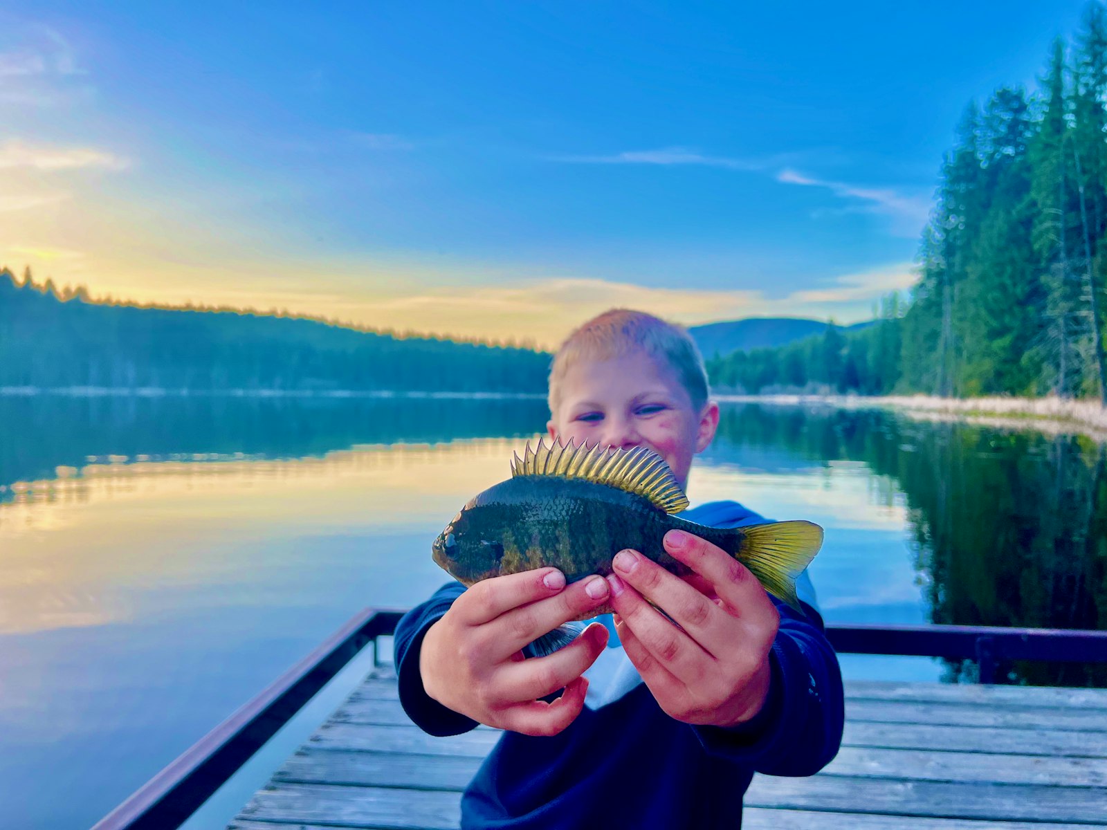 Young boy holding a bluegill on a dock at a mountain lake at golden hour