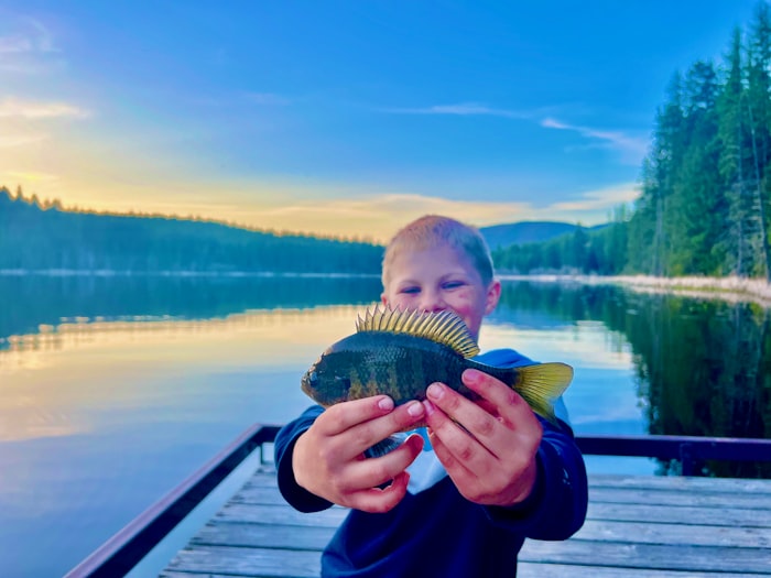 Young boy holding a bluegill on a dock at a mountain lake at golden hour